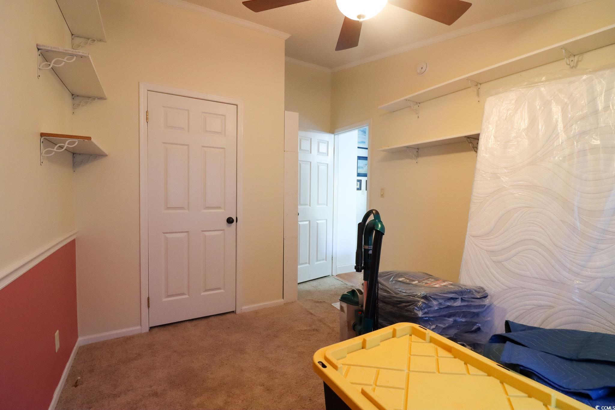 Photo #18