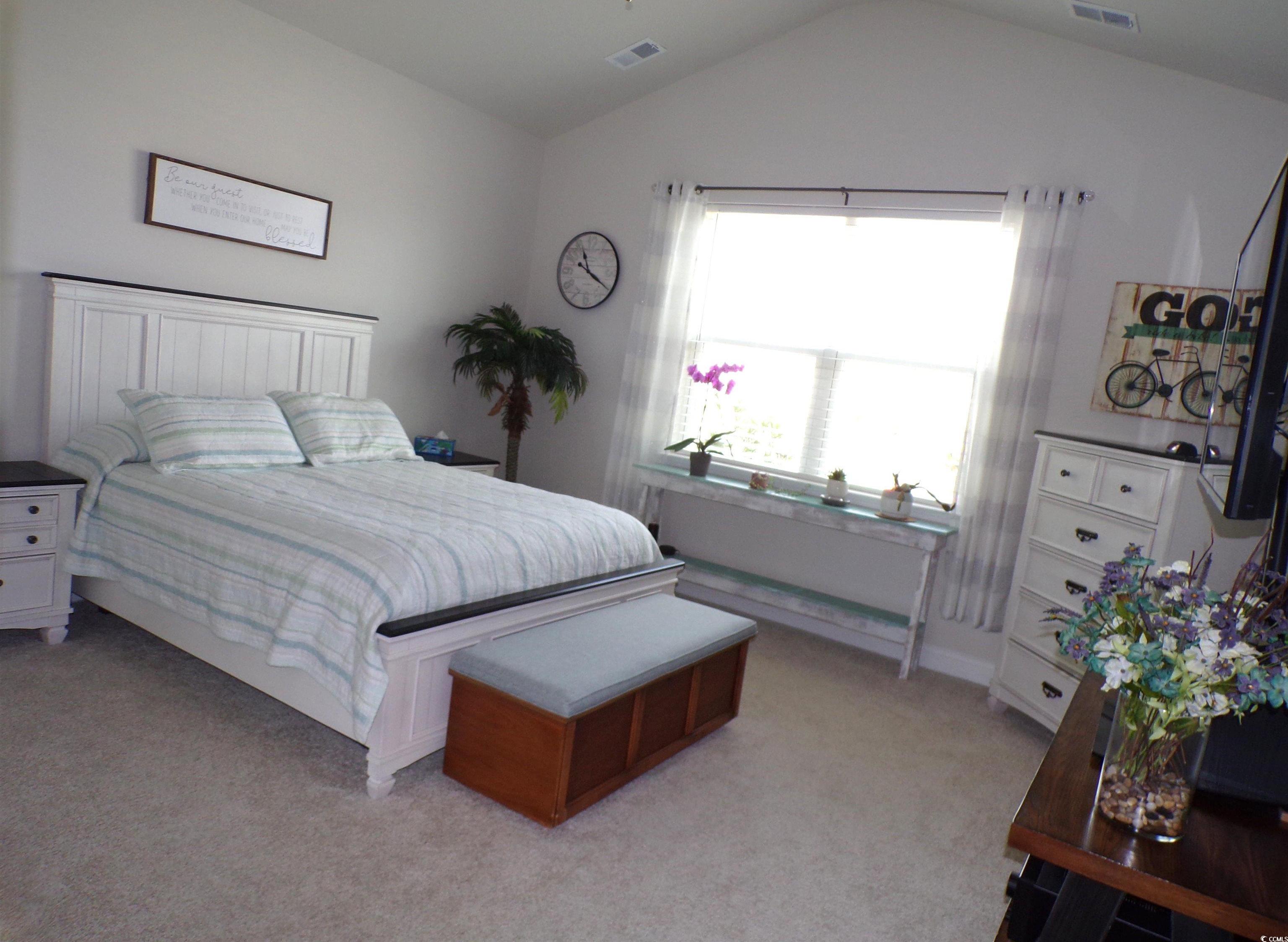 Photo #8