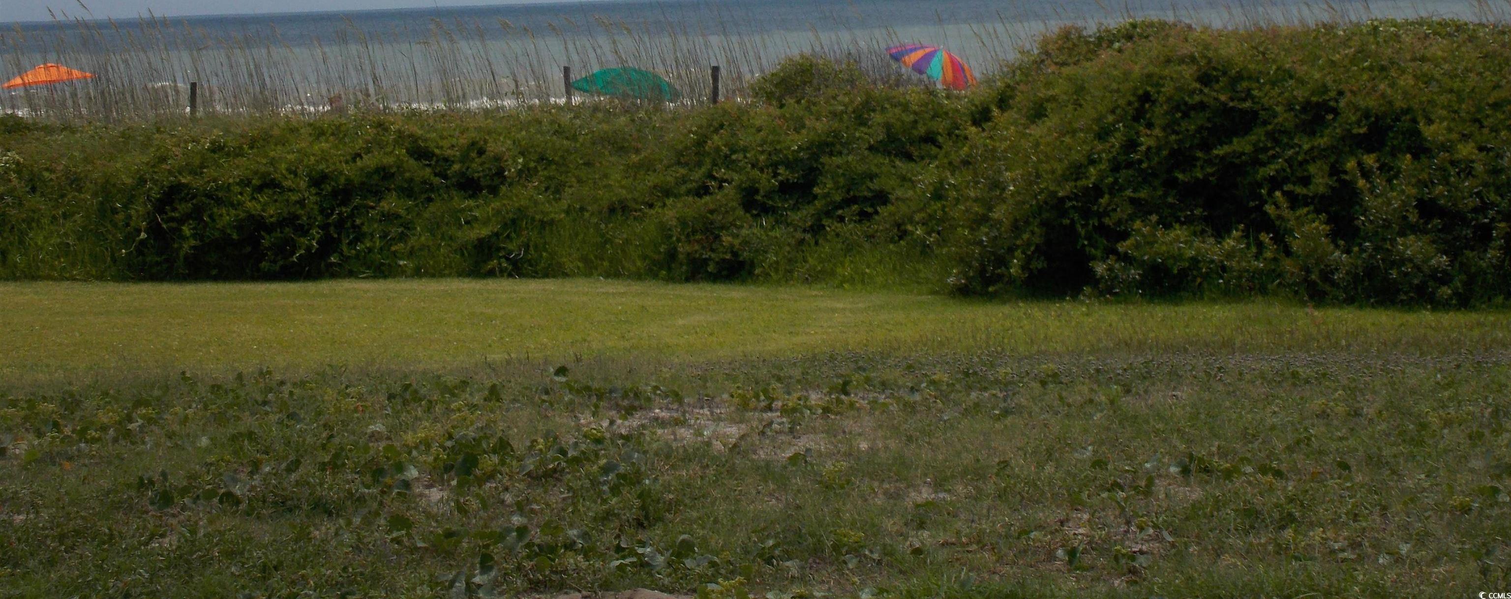 Photo #36
