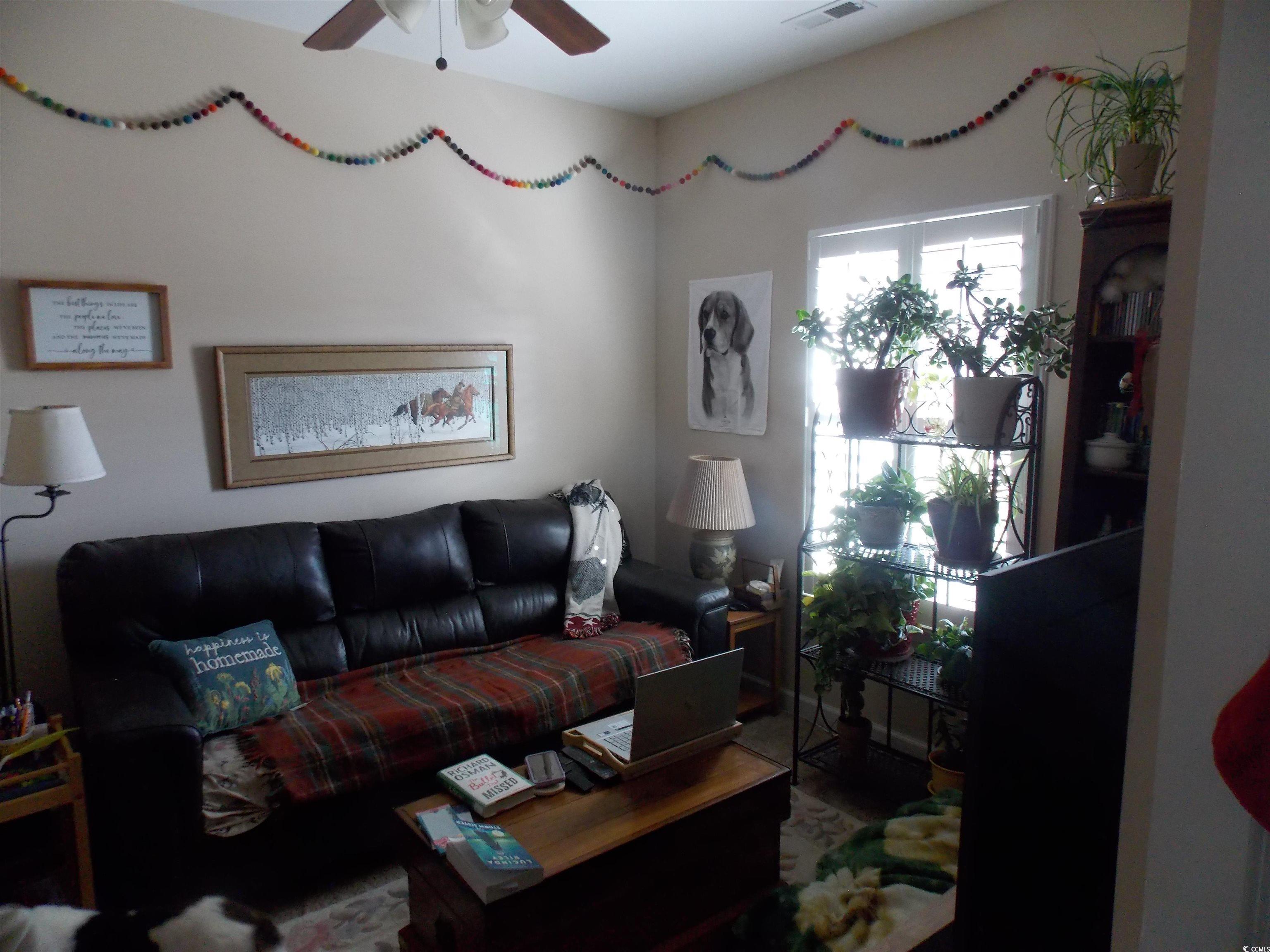 Photo #15