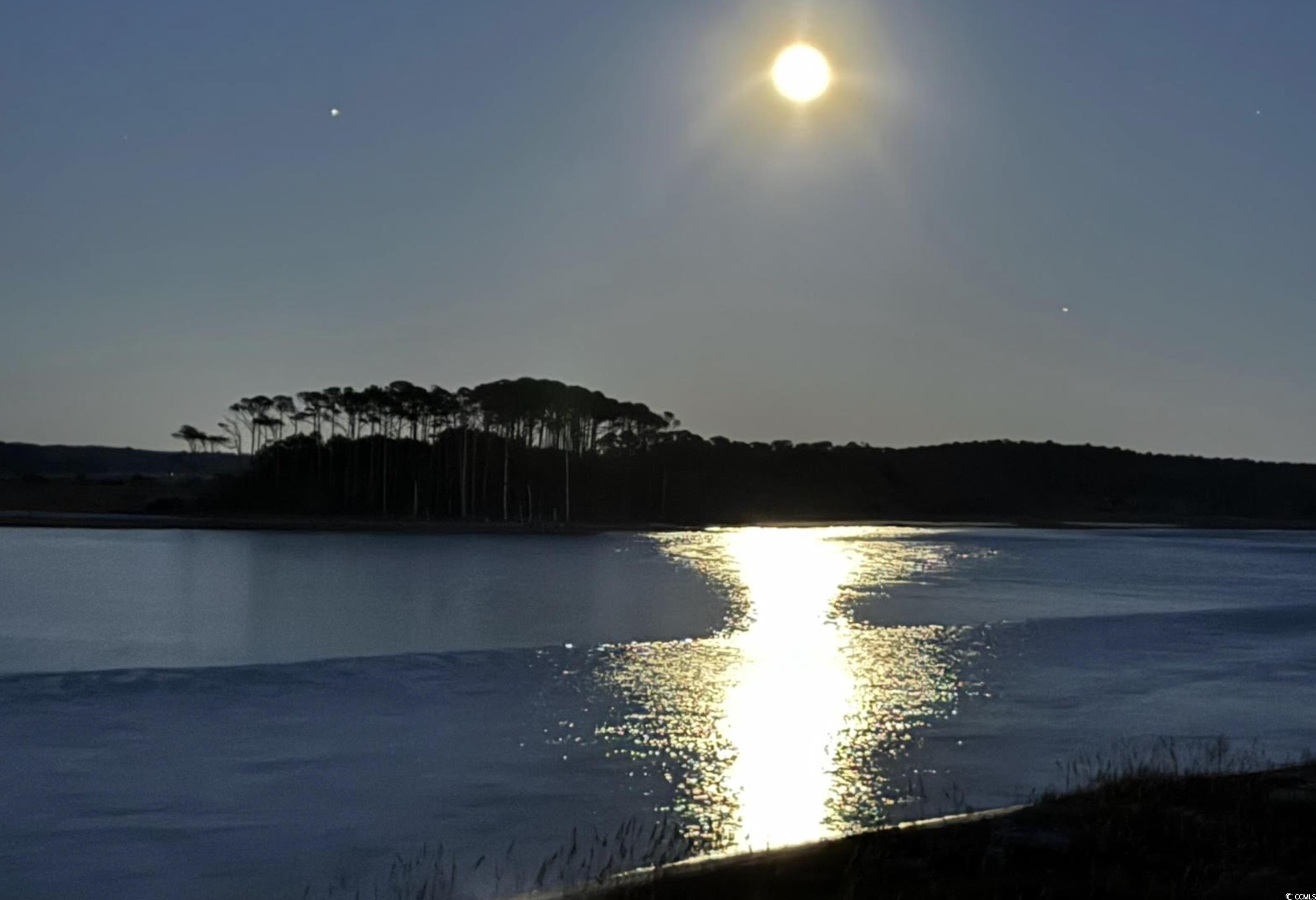 Photo #36