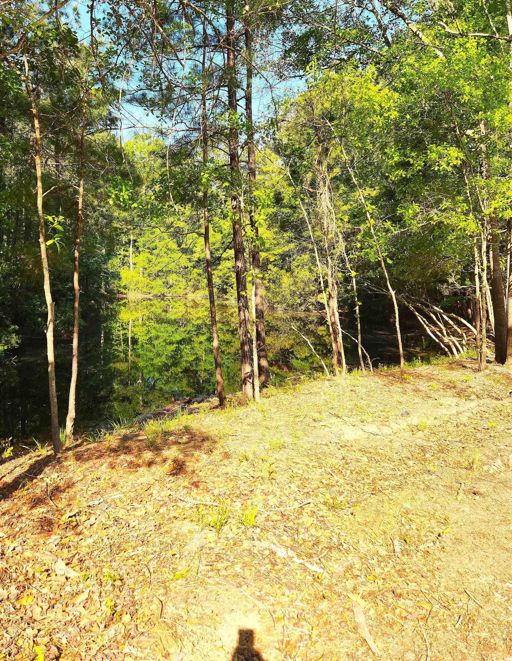 Photo #24