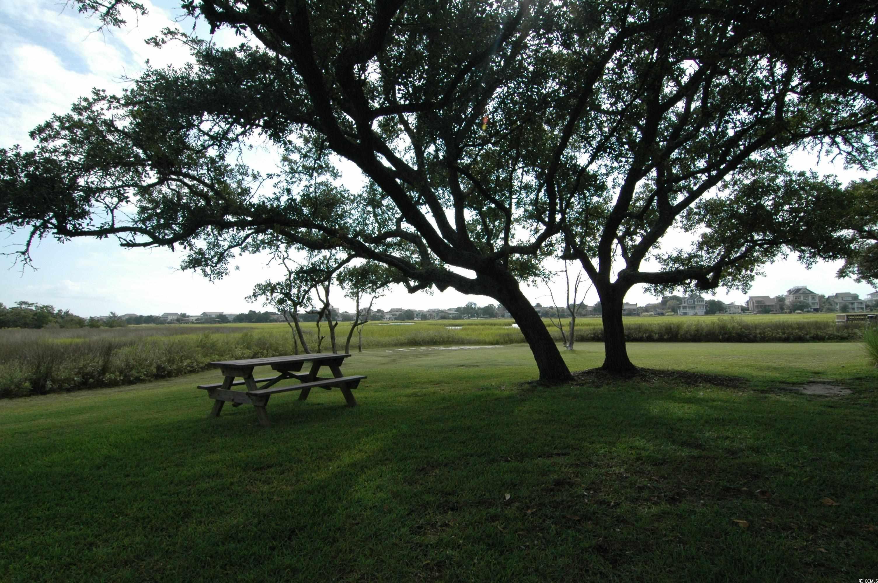 Photo #17