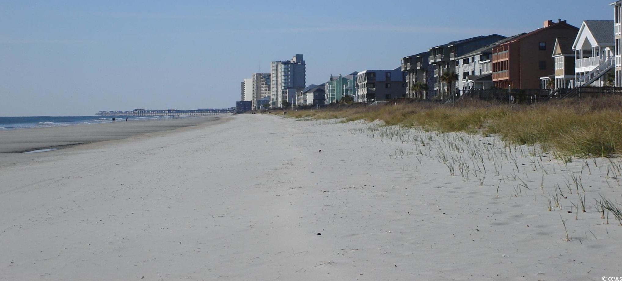 Photo #15