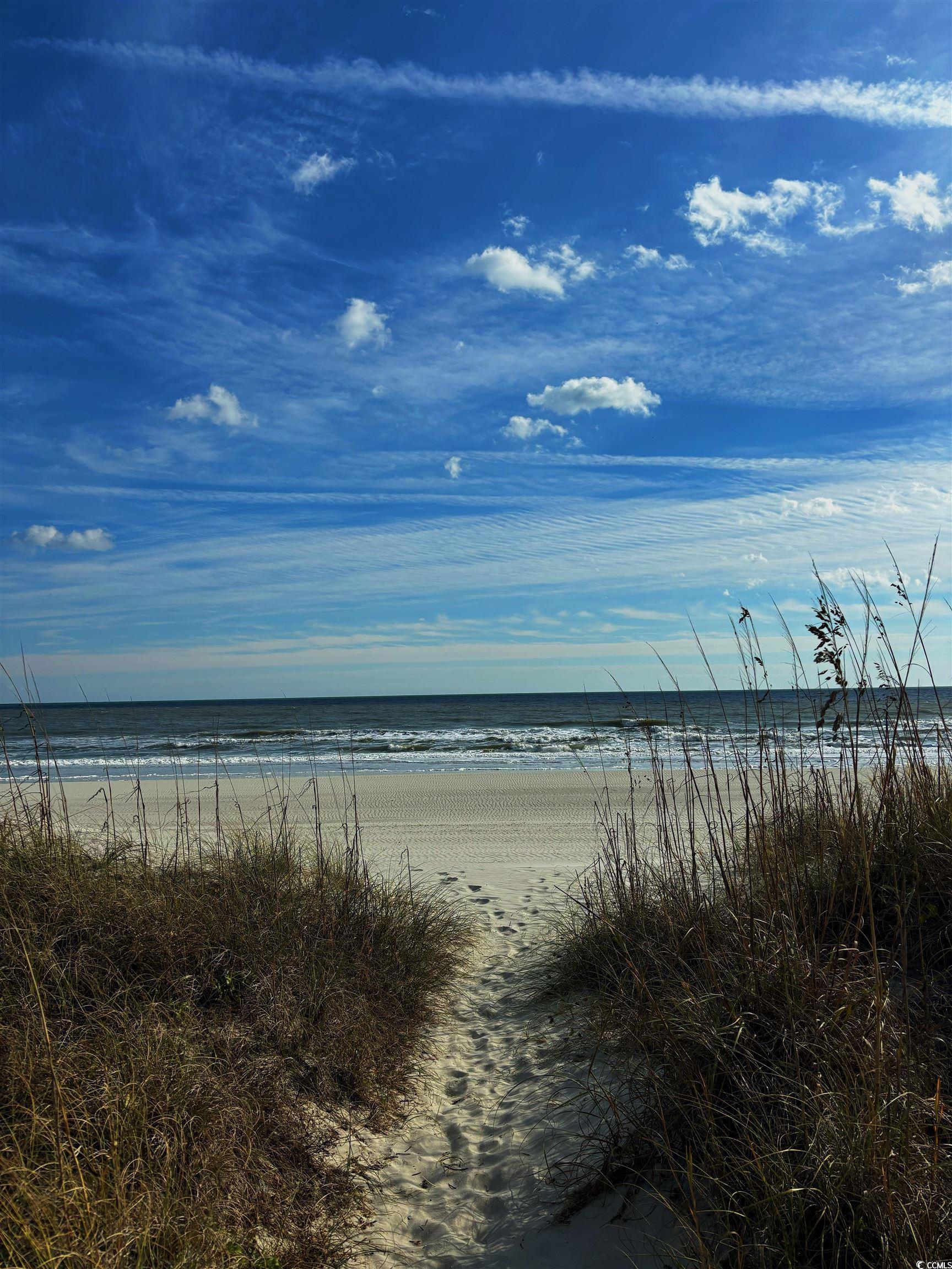 Photo #24