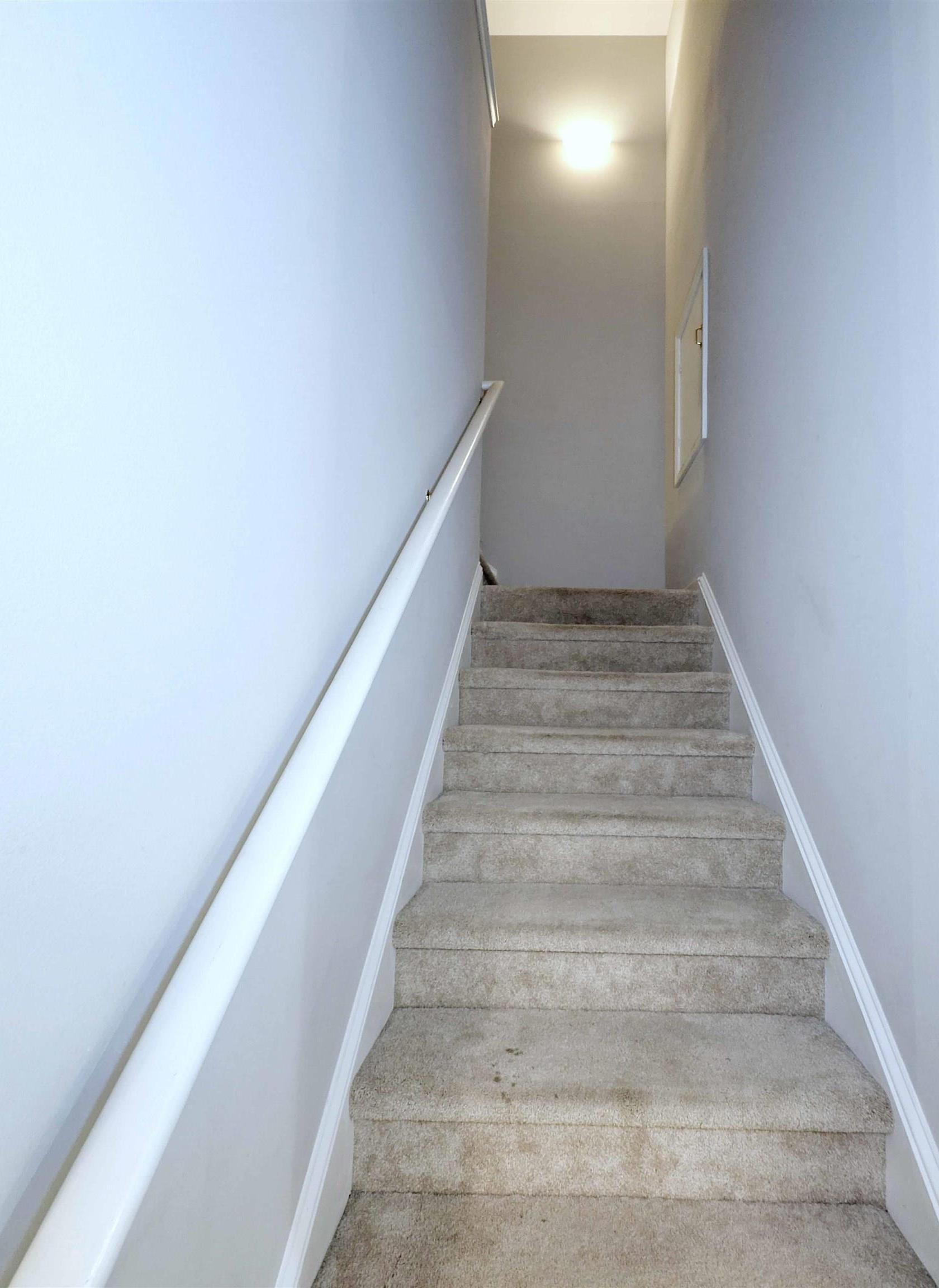 Photo #24