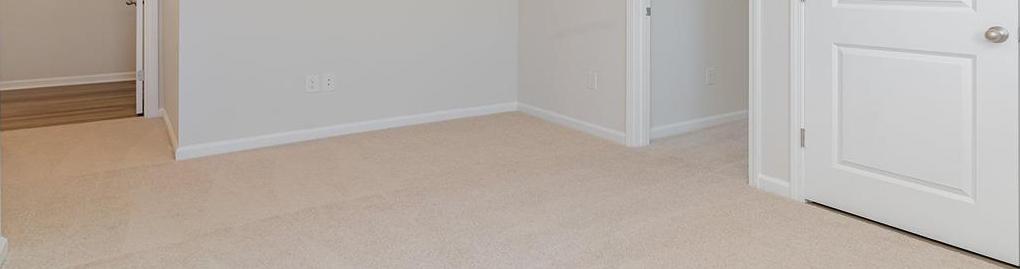 Photo #12
