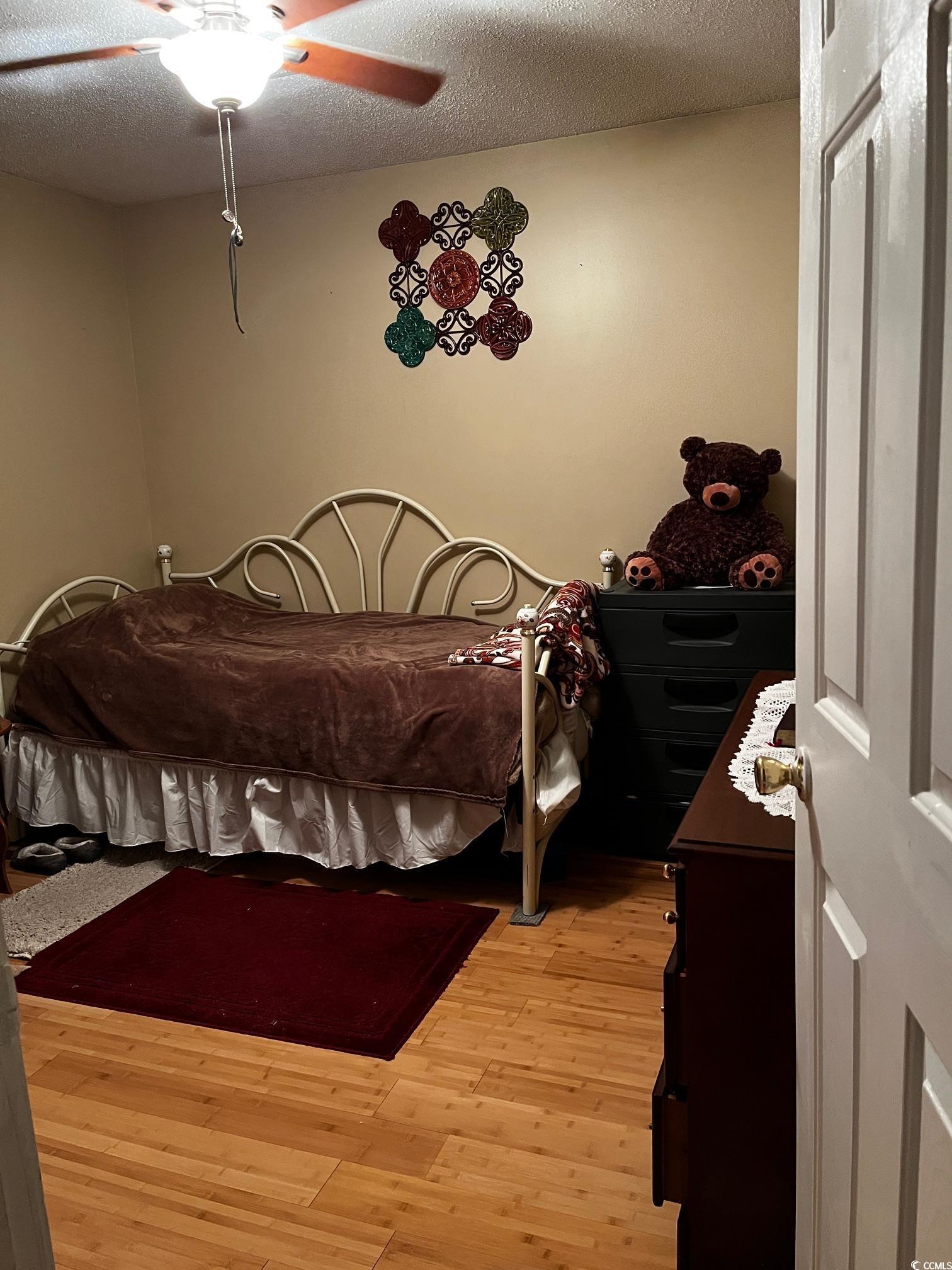 Photo #17