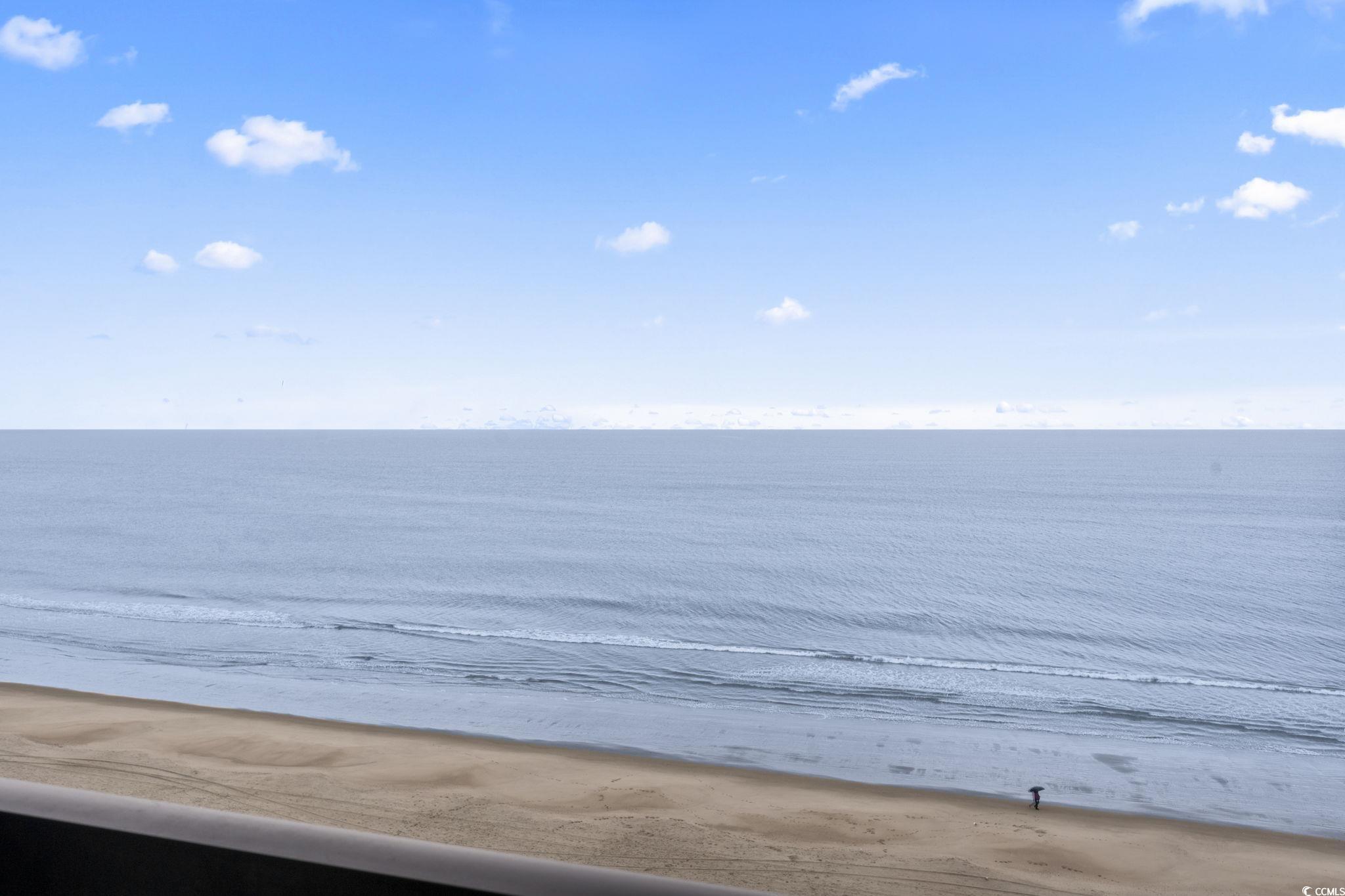 Photo #31
