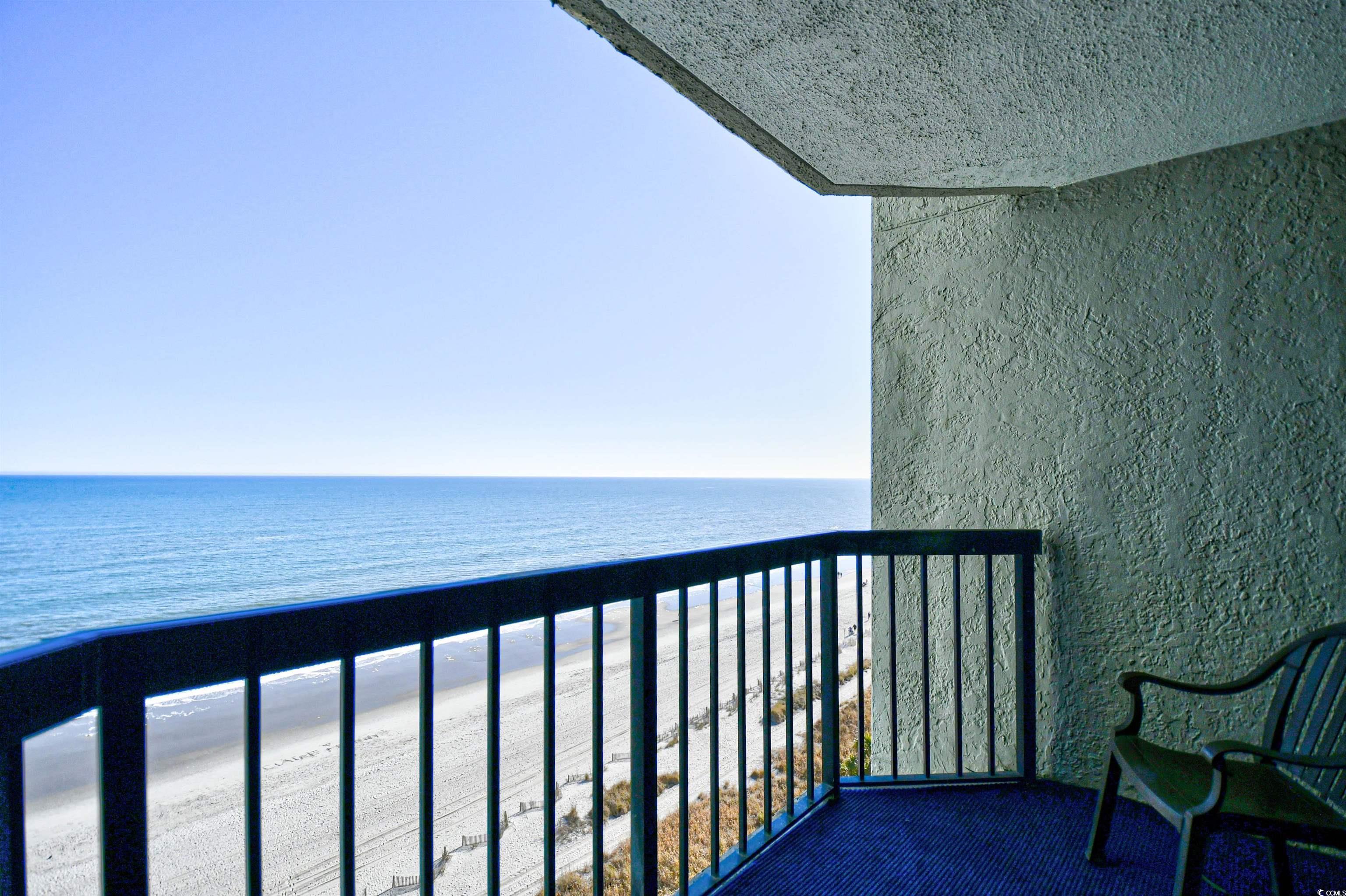 Photo #15