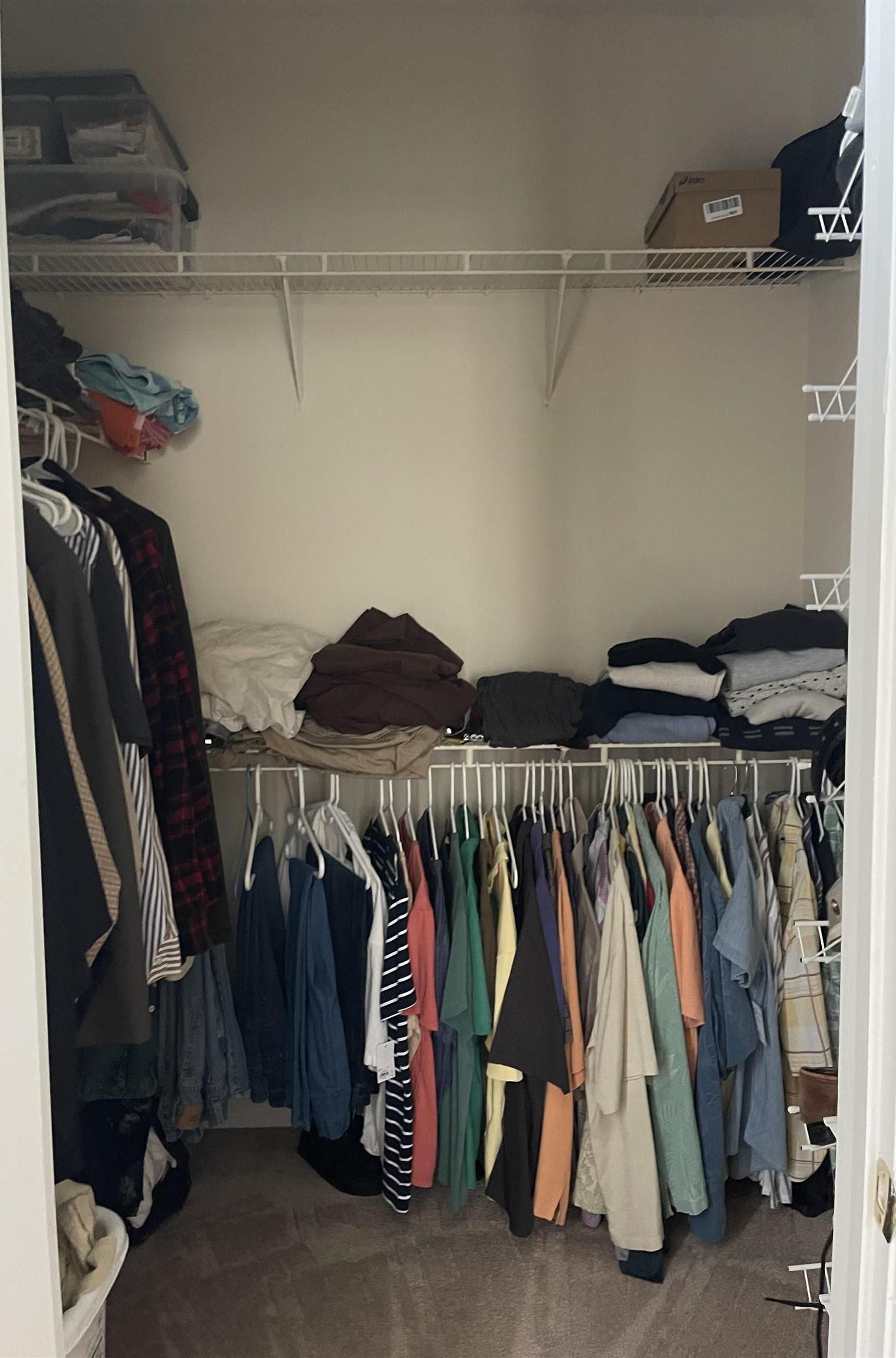 Photo #13