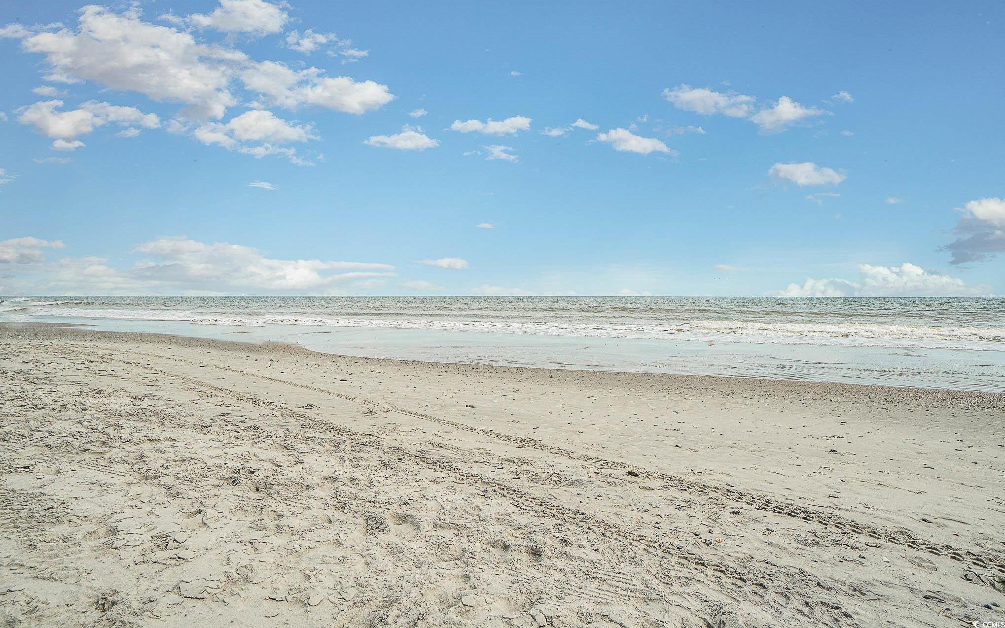 Photo #31