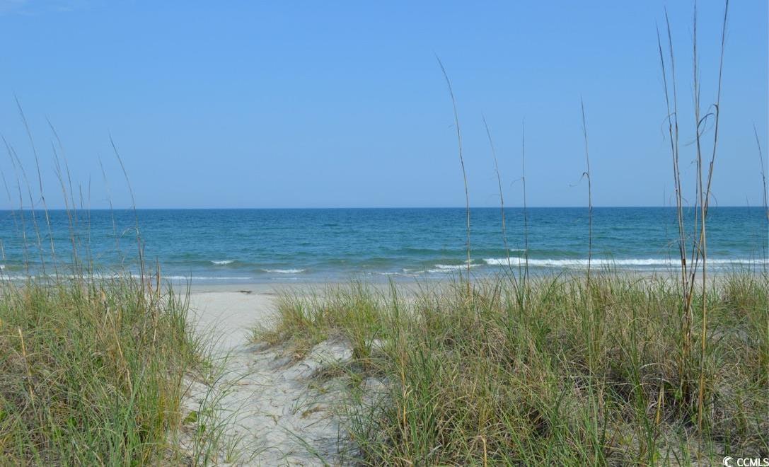 Photo #38