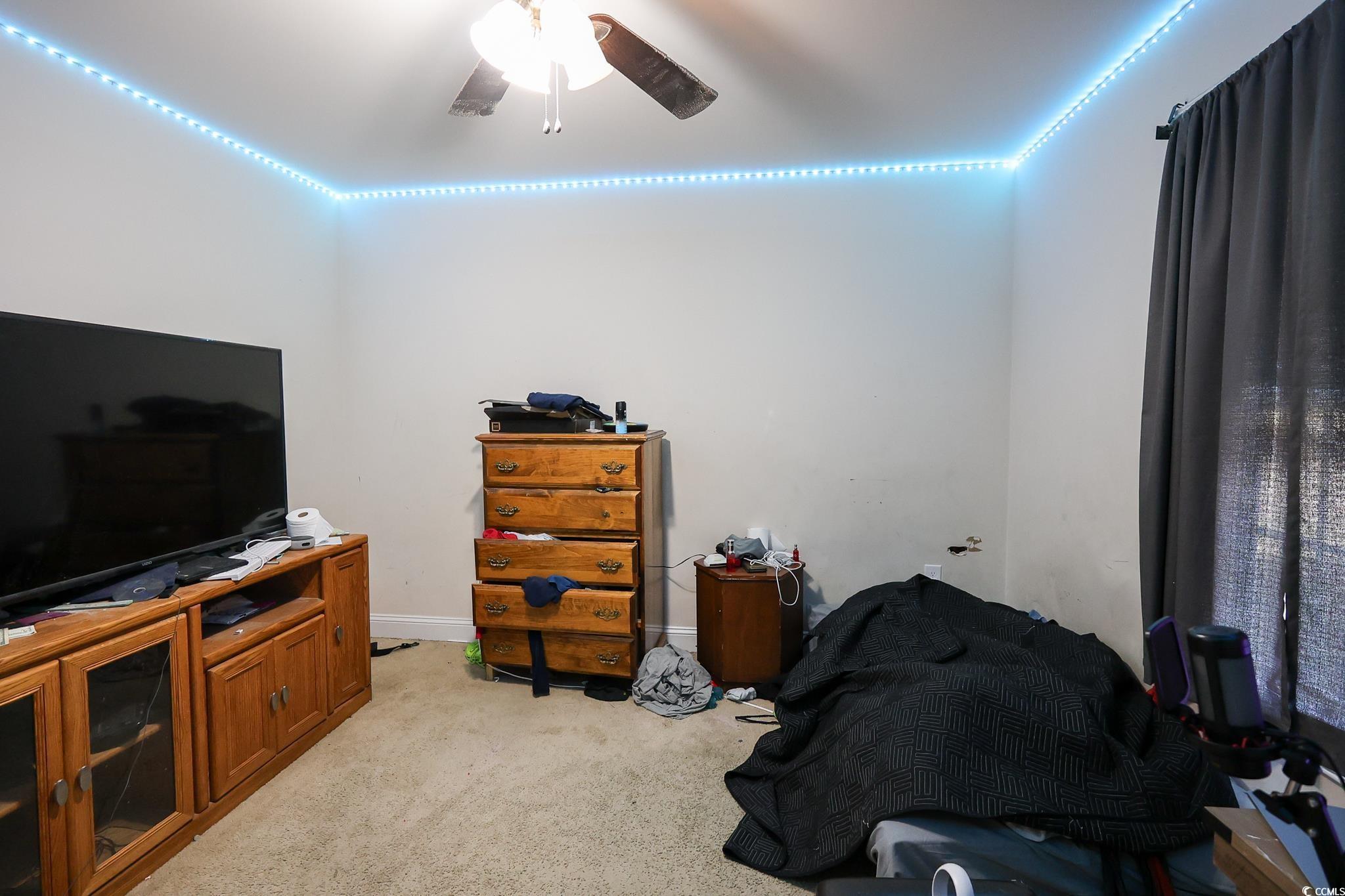 Photo #18