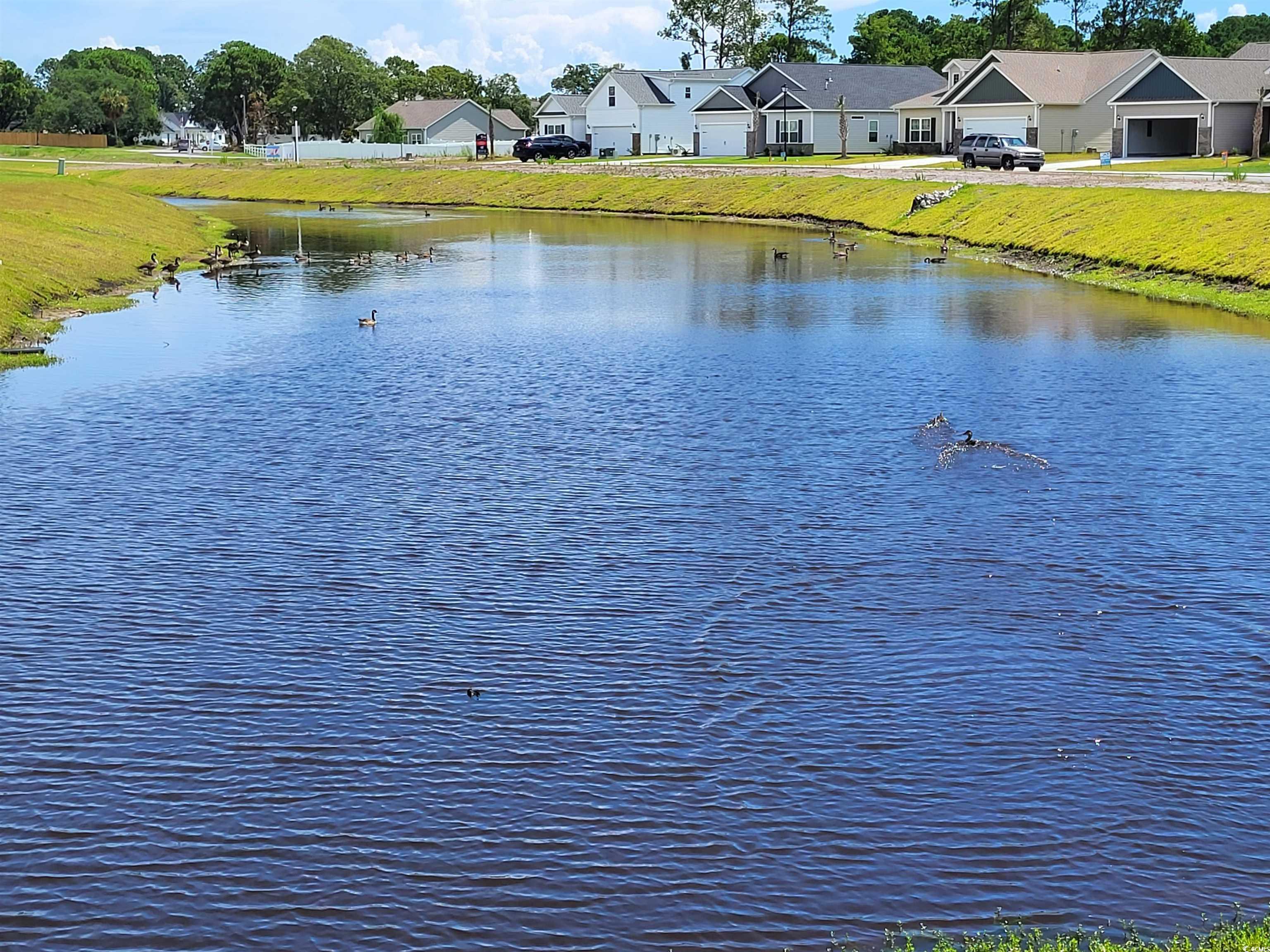 Photo #3