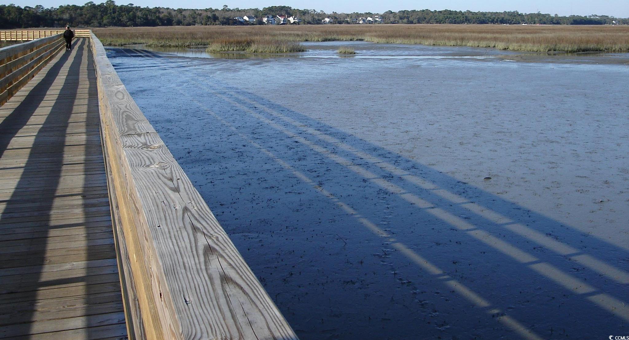 Photo #15