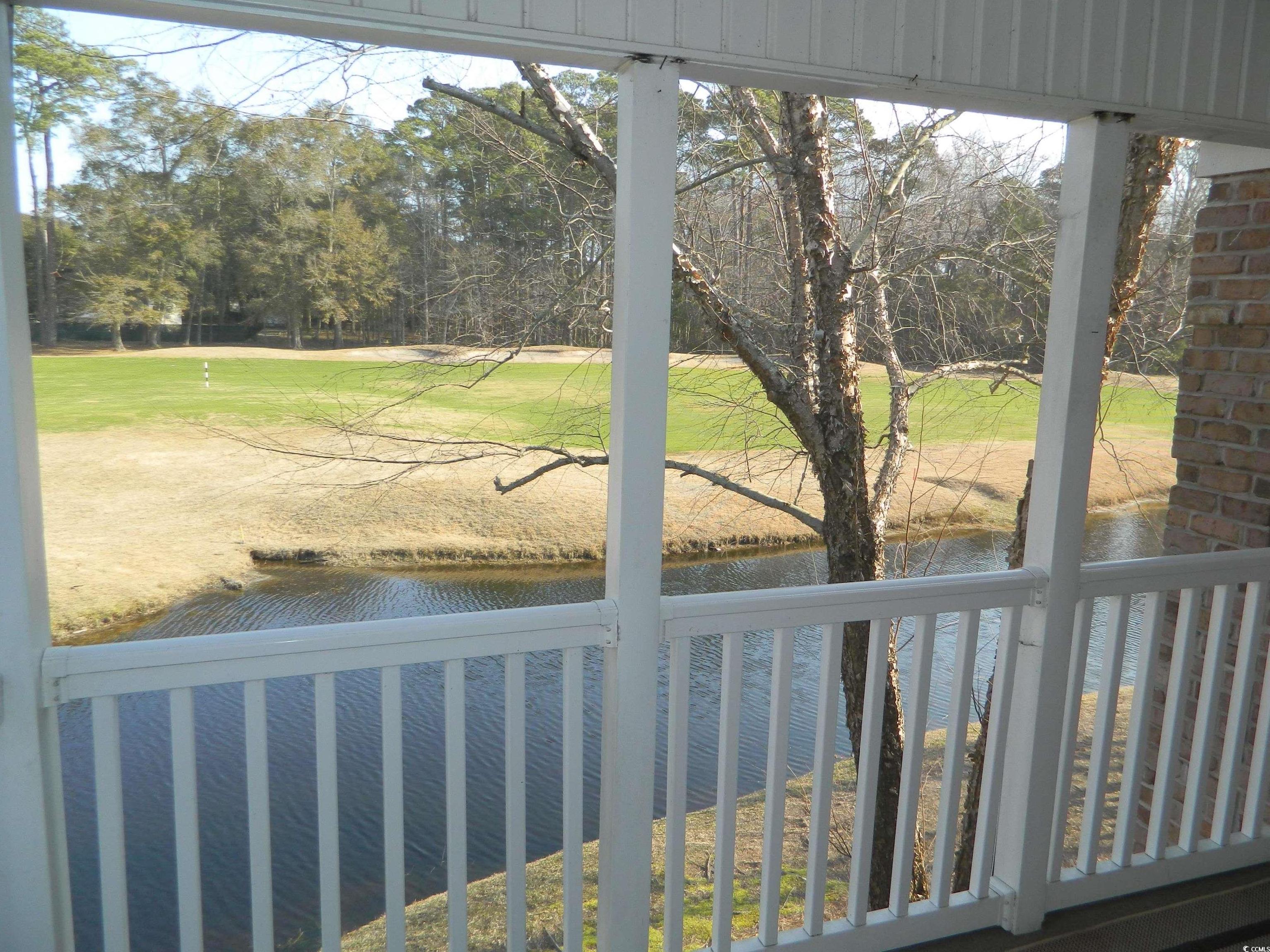 Photo #29