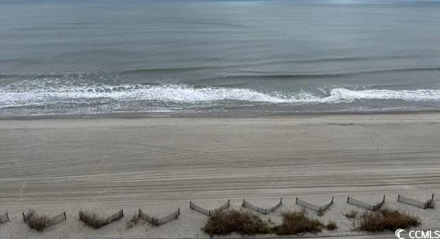 Photo #3