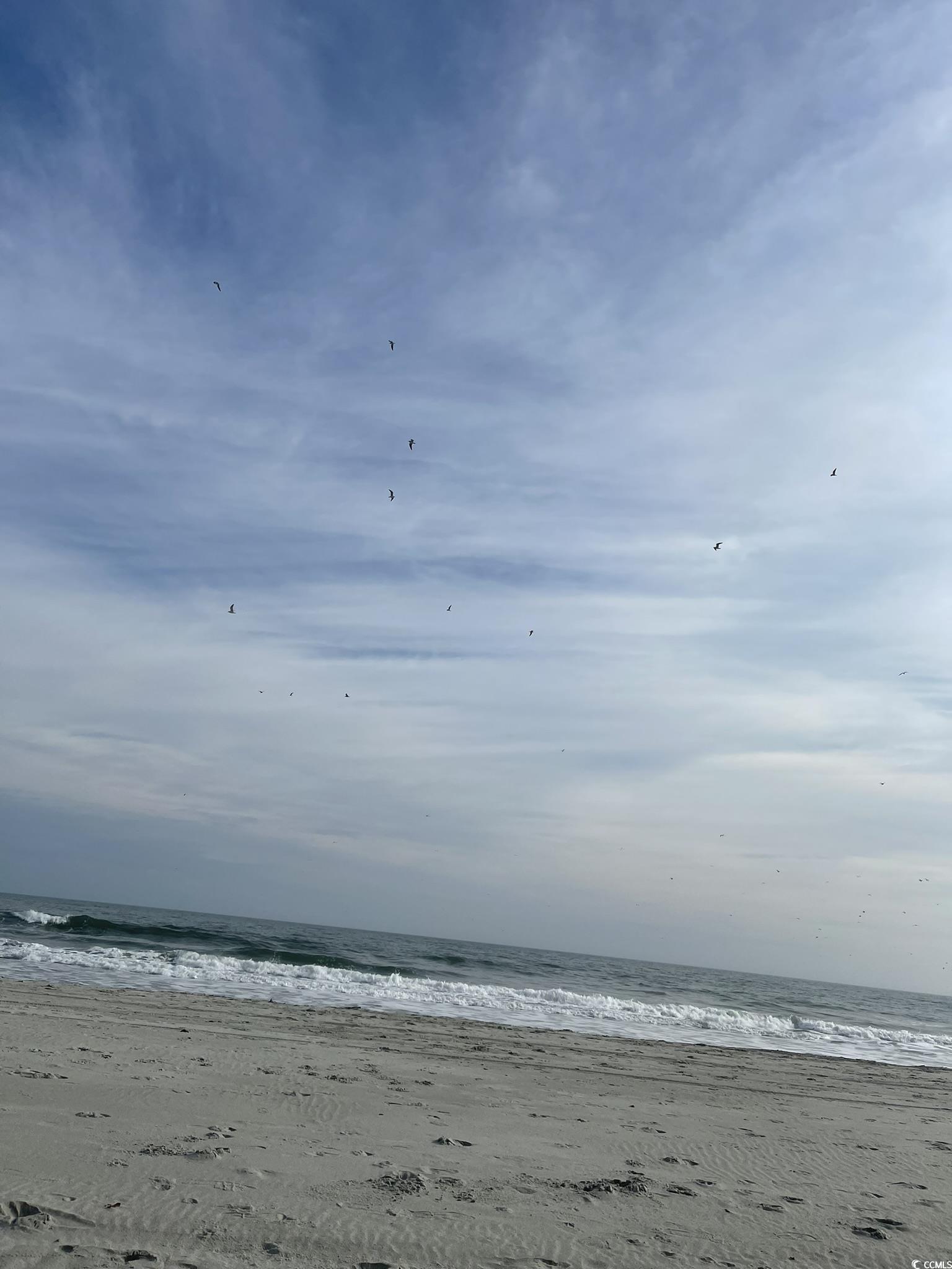 Photo #24