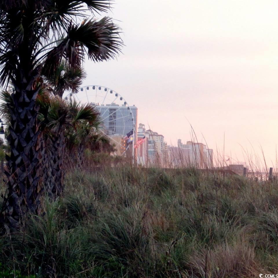 Photo #31