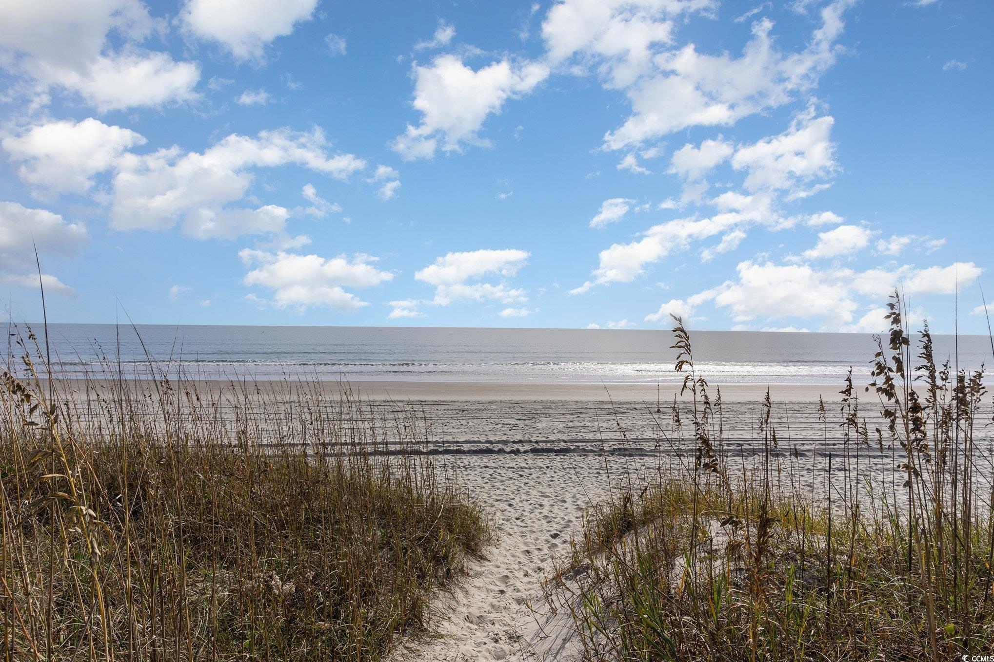 Photo #26