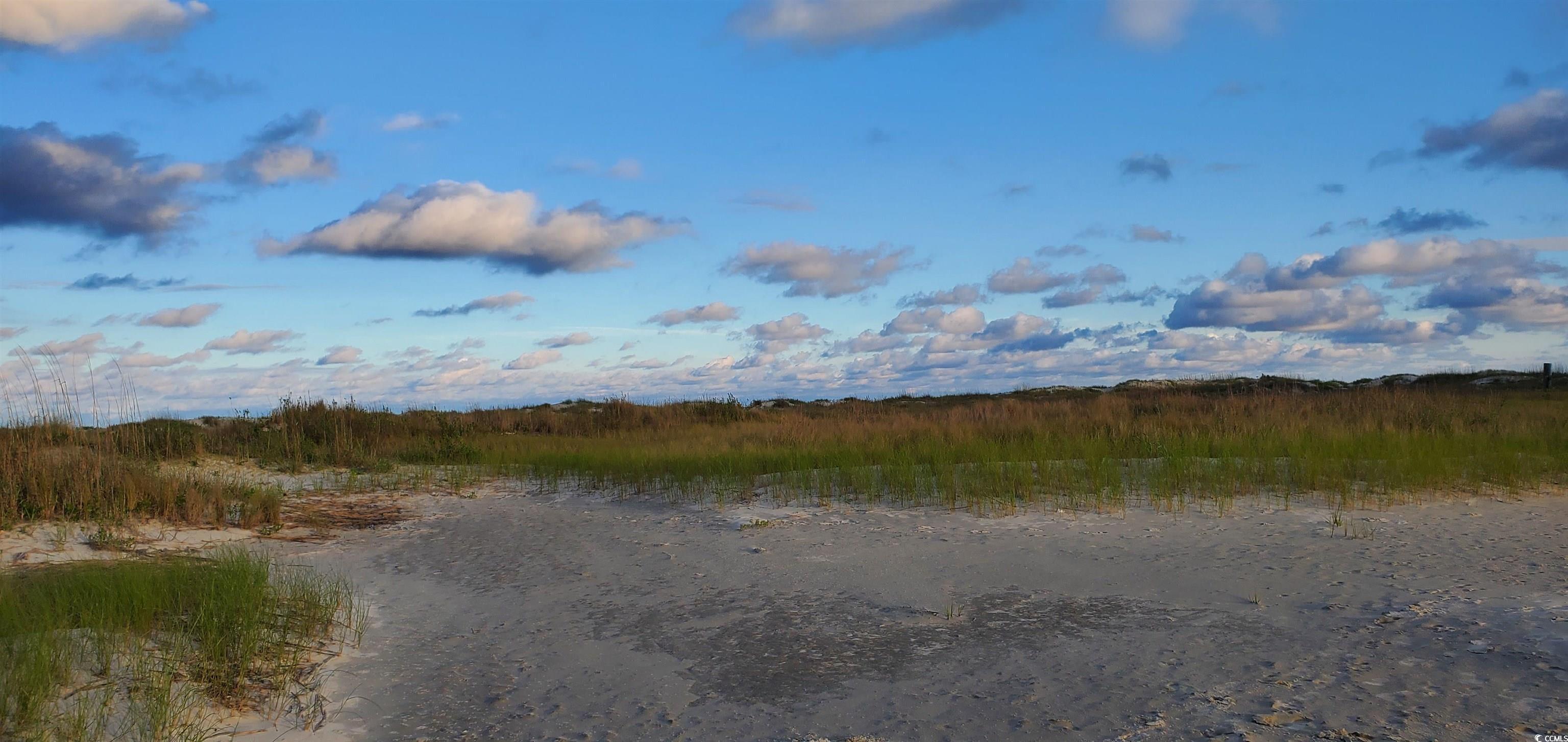 Photo #28