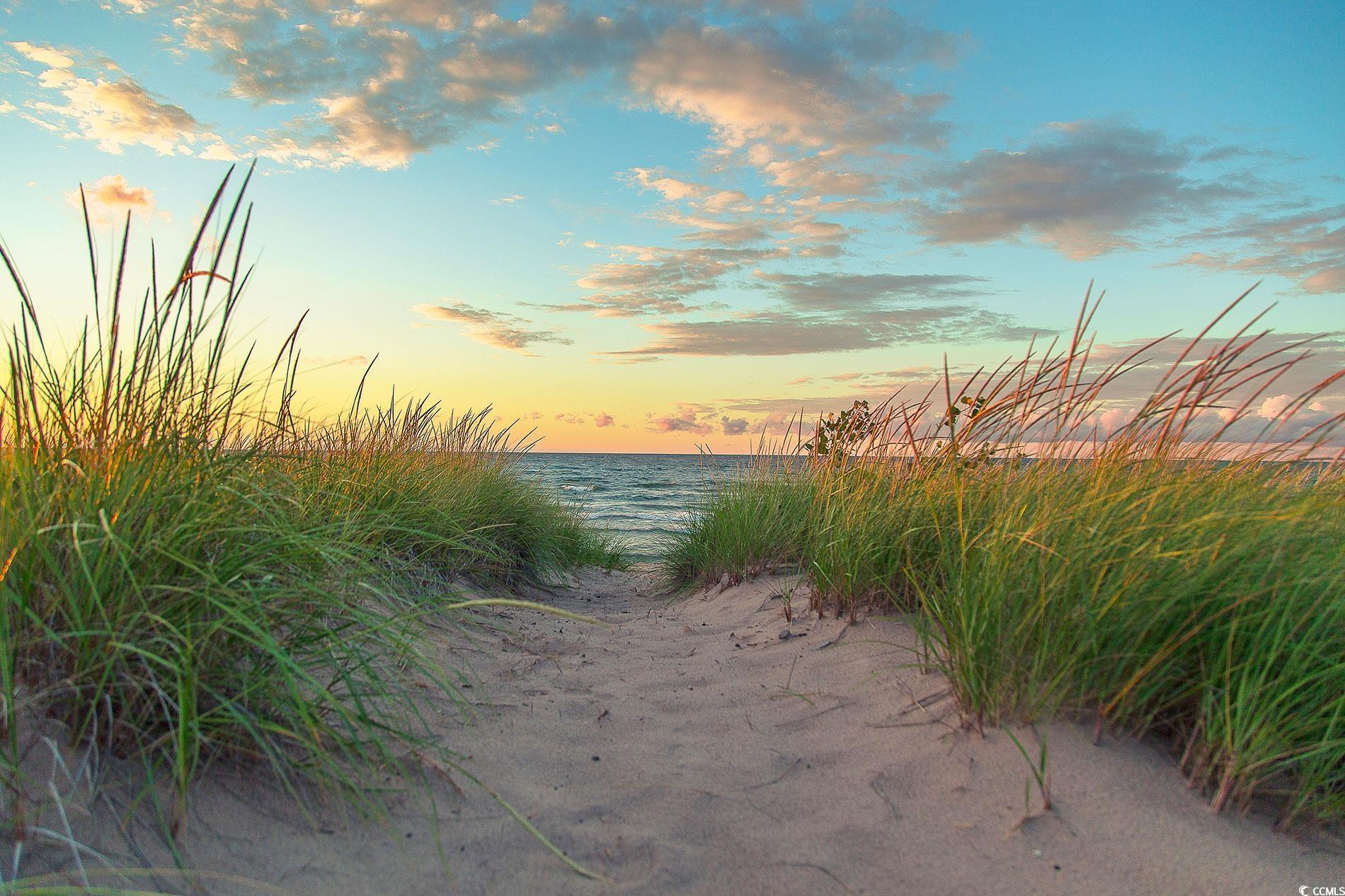 Photo #31