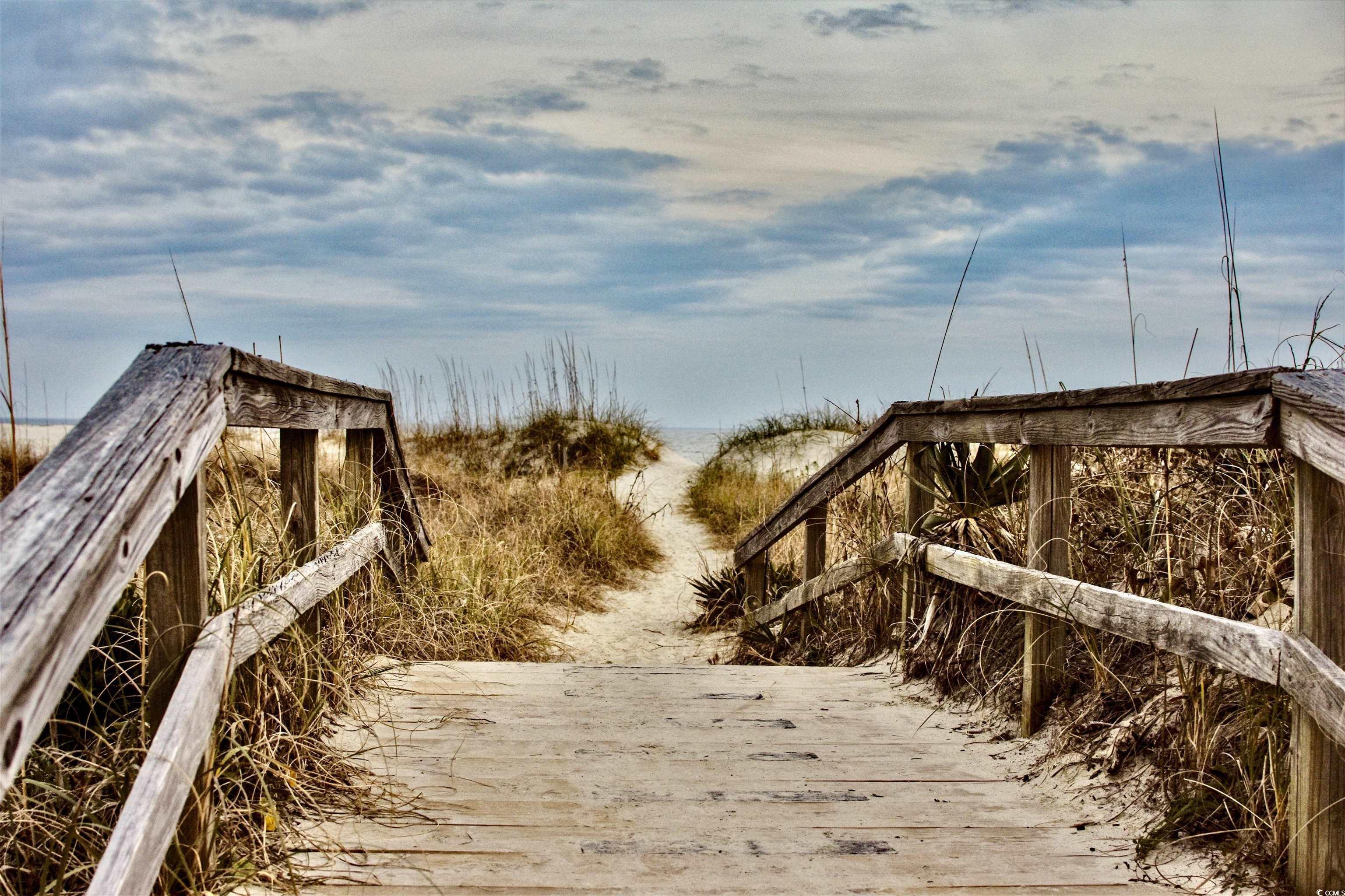 Photo #40