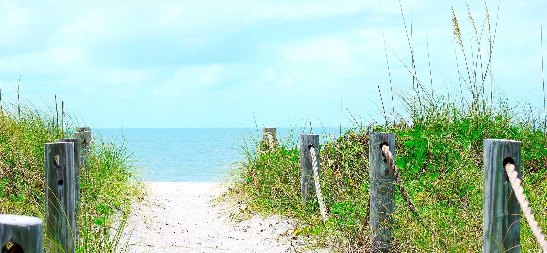 Photo #39