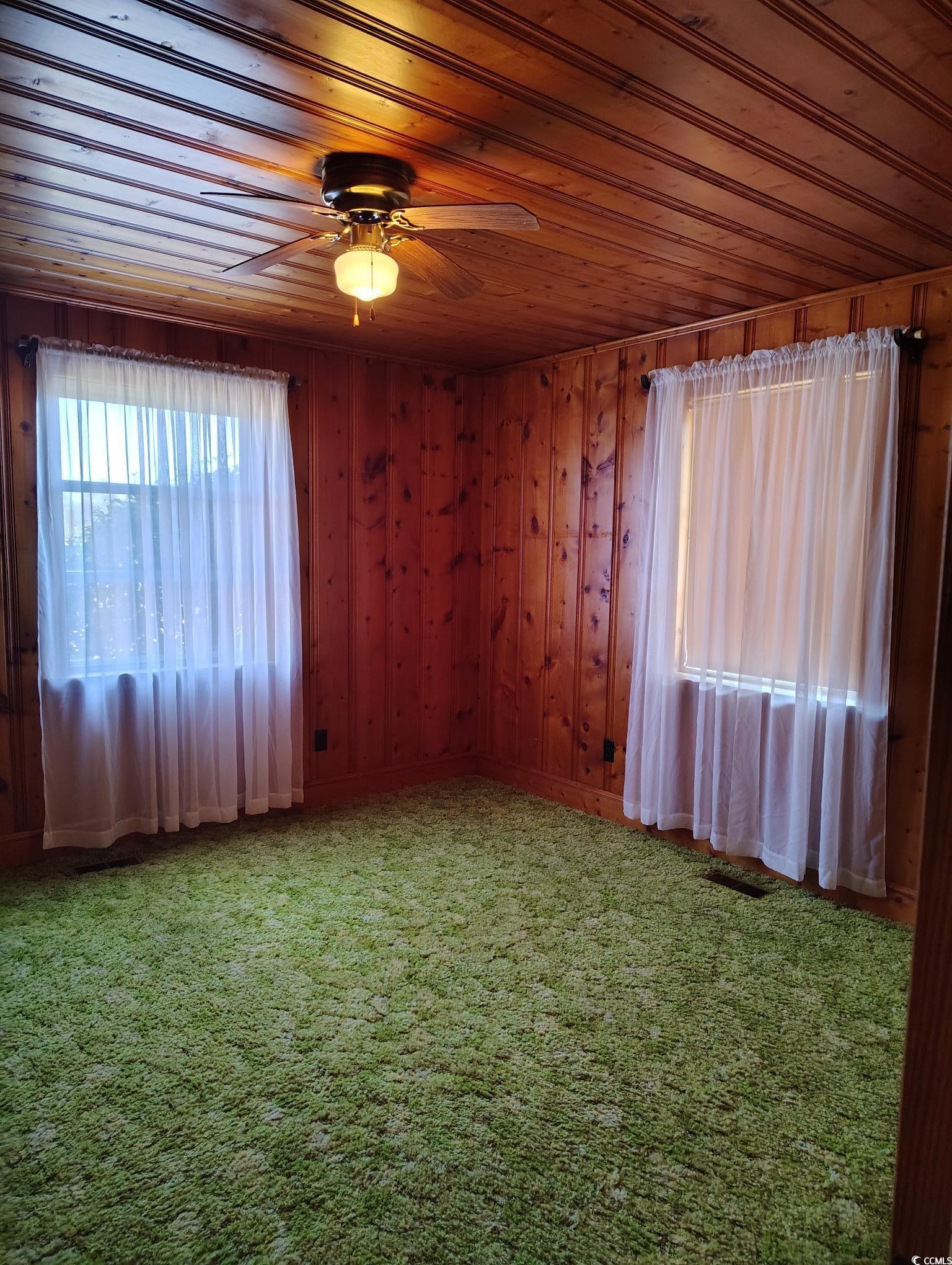 Photo #11