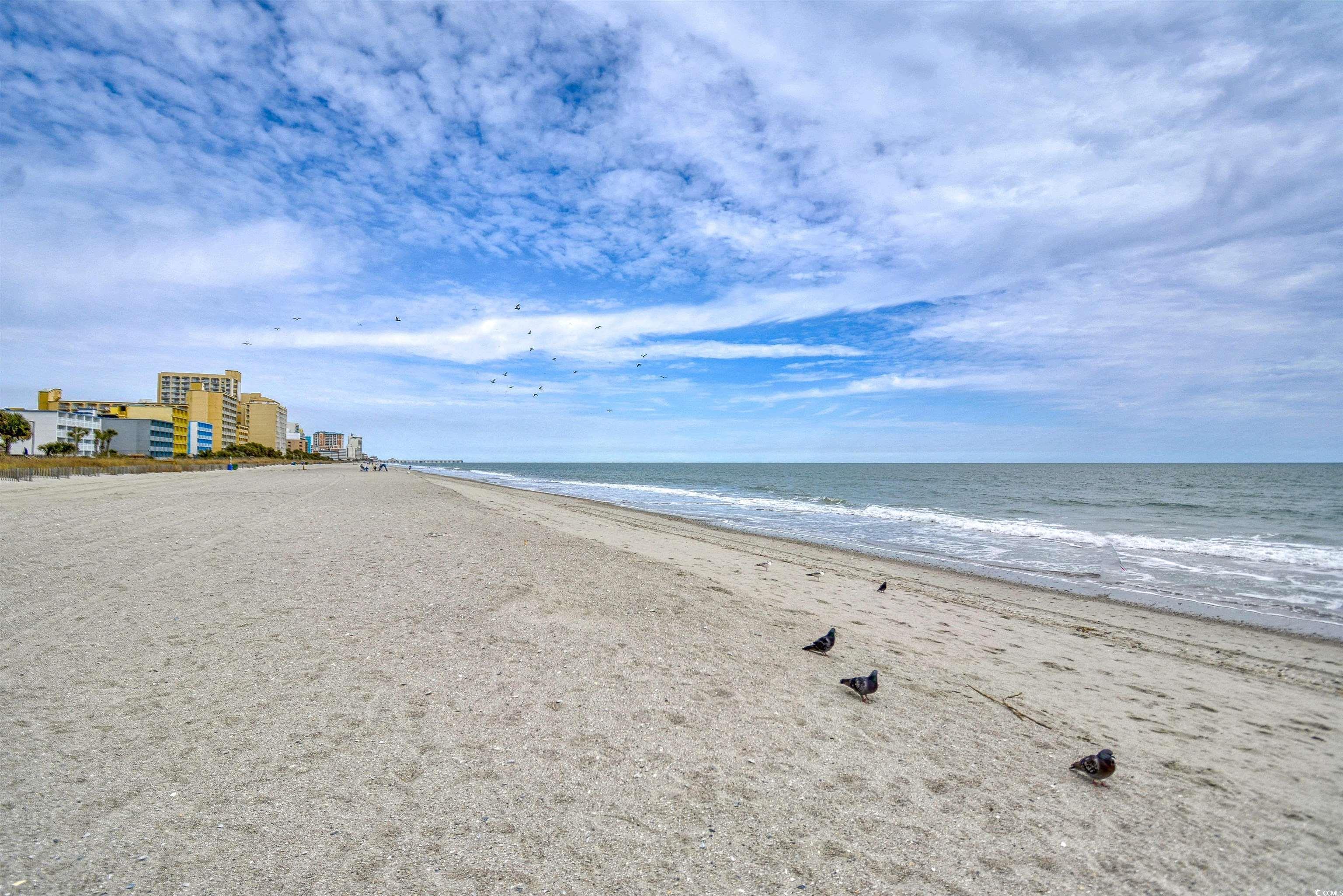 Photo #33