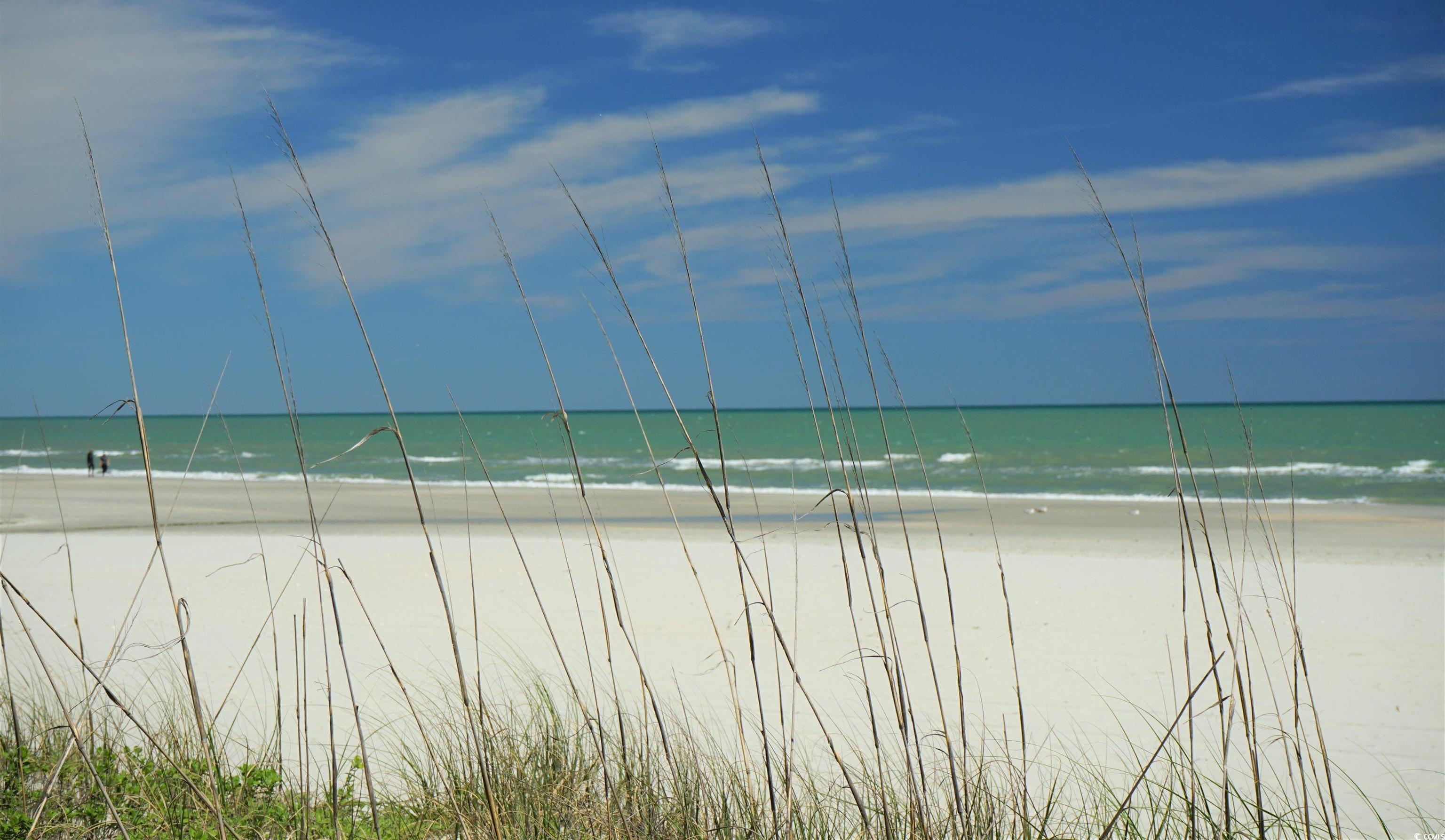 Photo #32