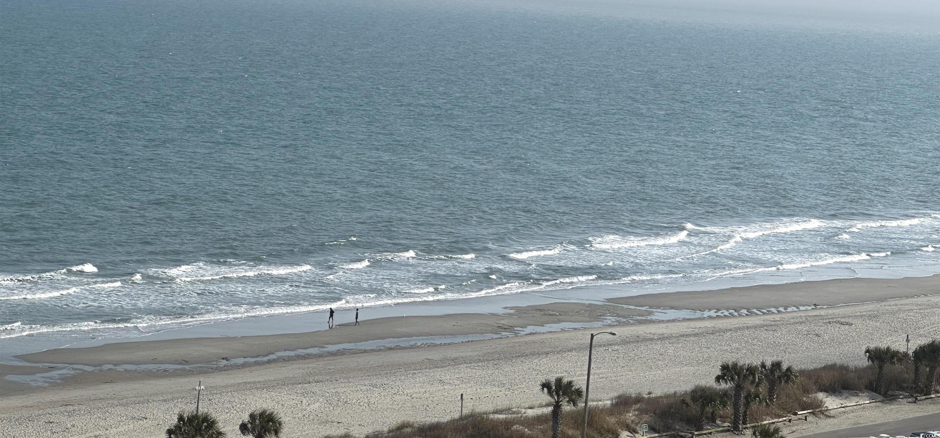 Photo #29