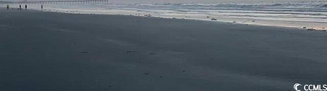 Photo #16