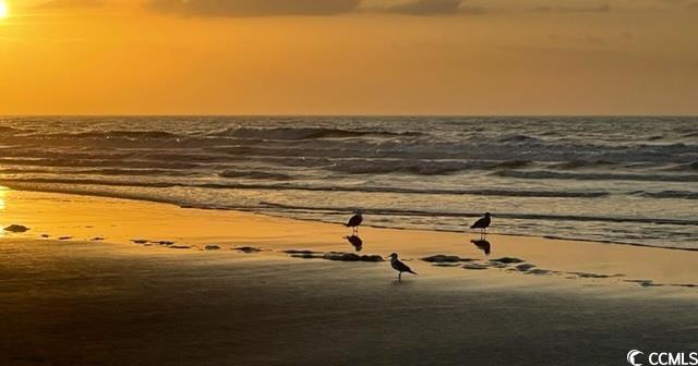 Photo #15