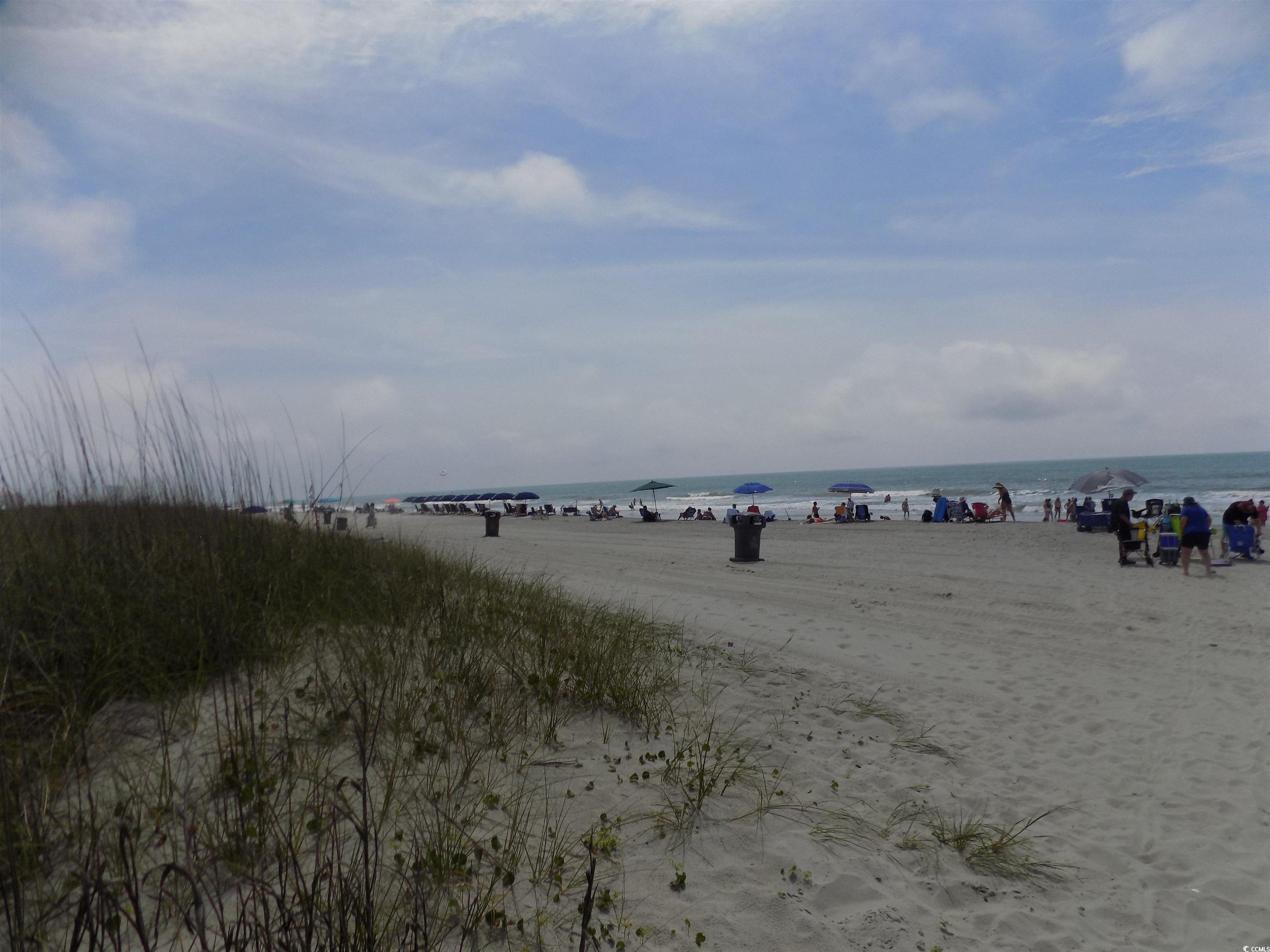 Photo #37