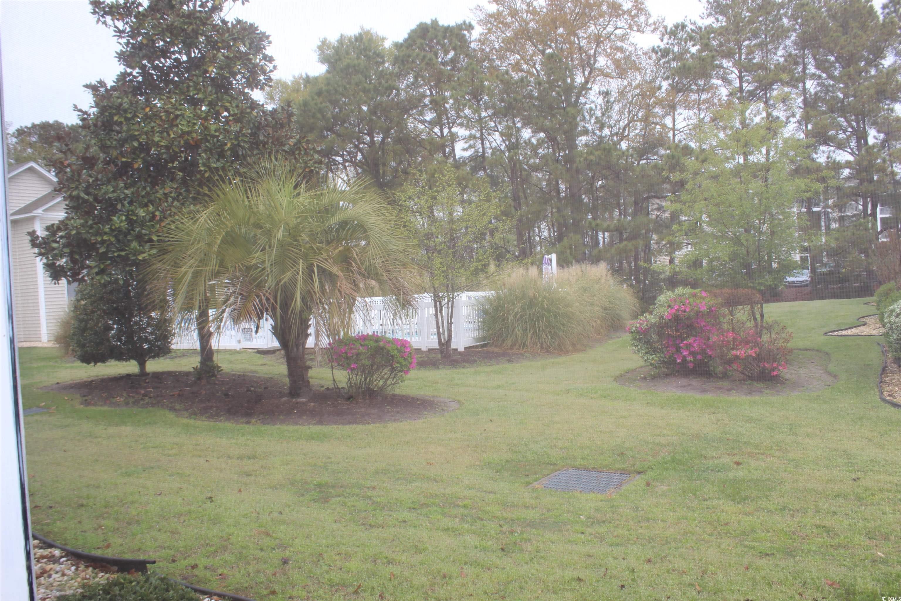 Photo #27