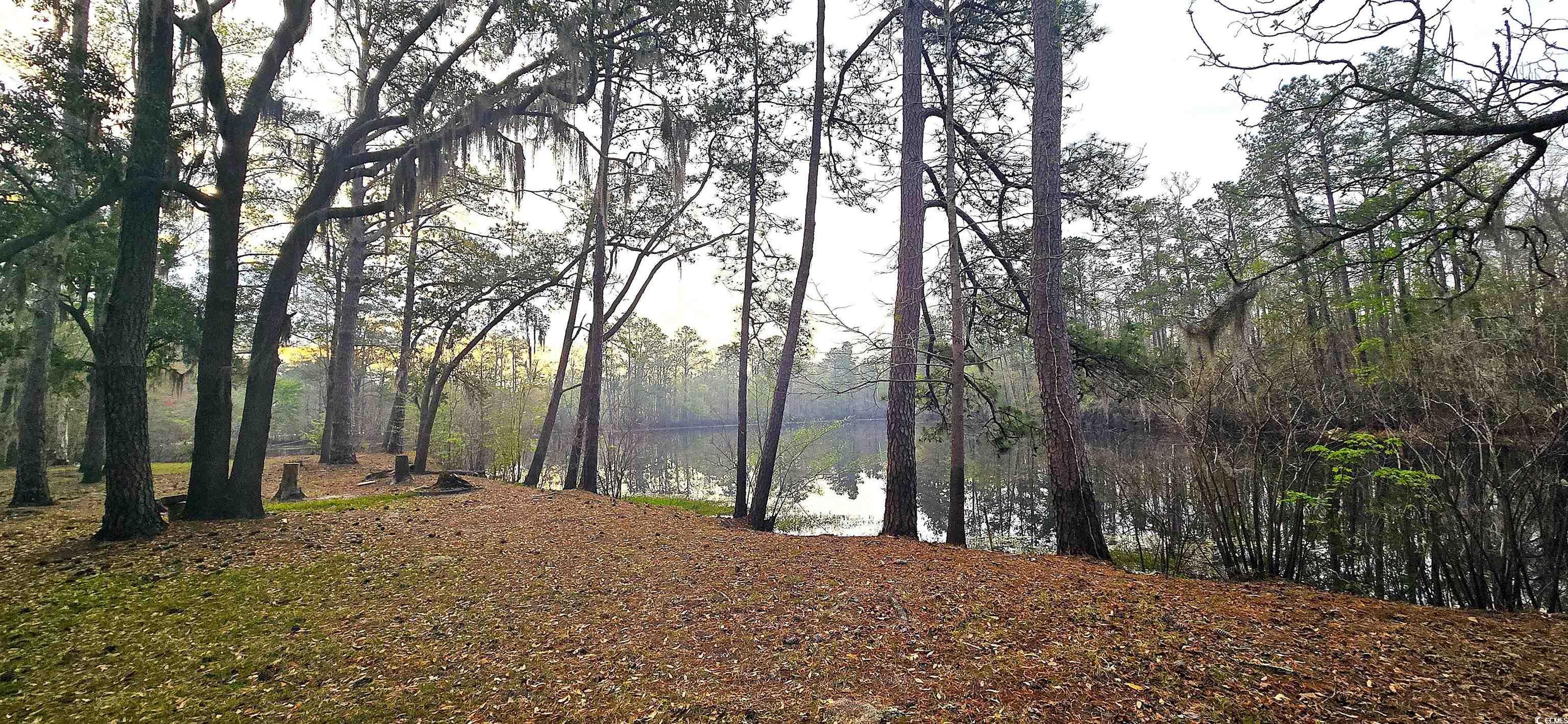 Photo #32