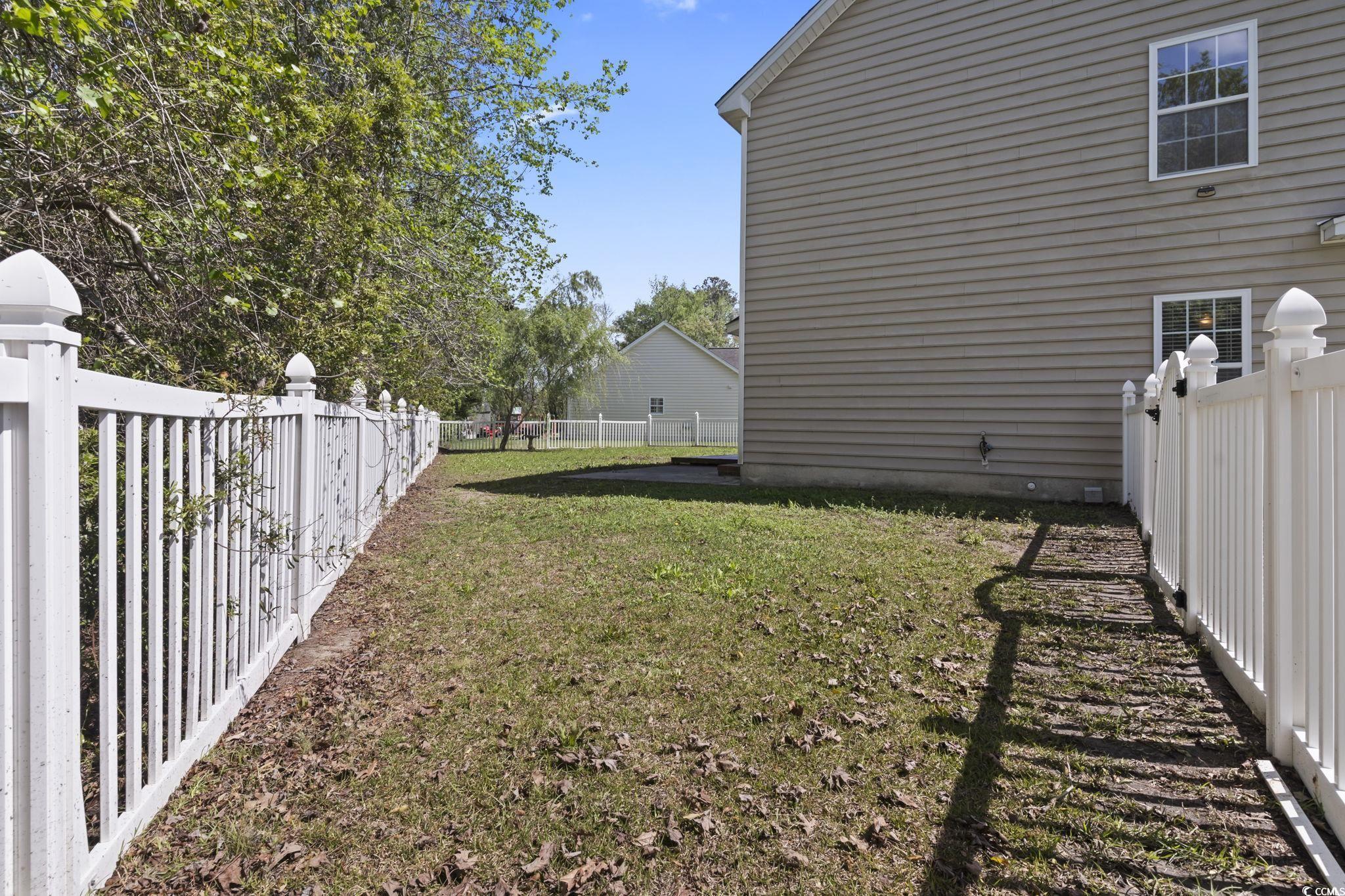 Photo #31