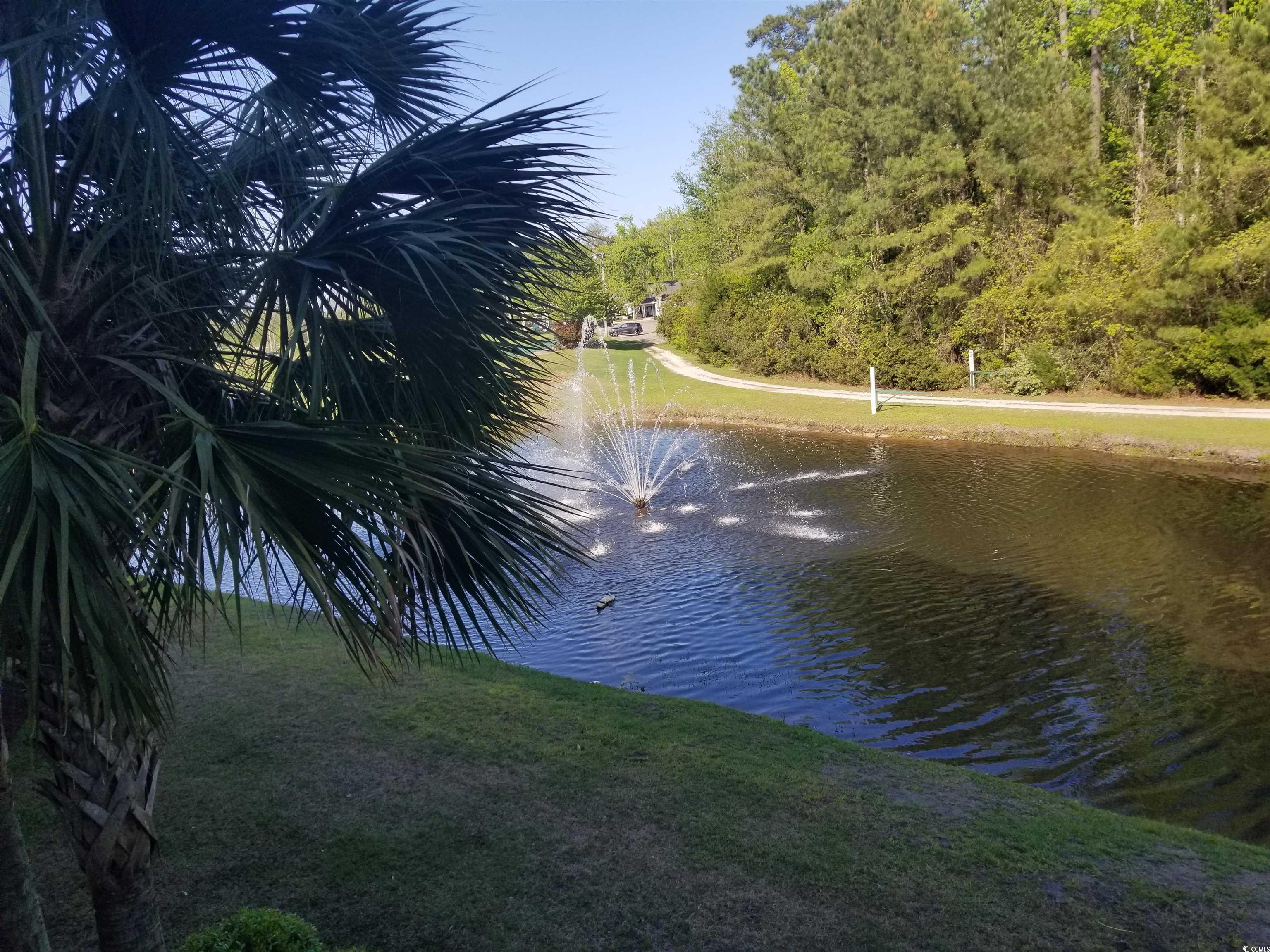 Photo #24