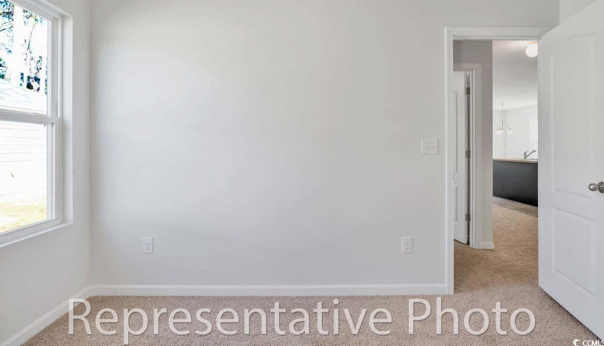 Photo #11