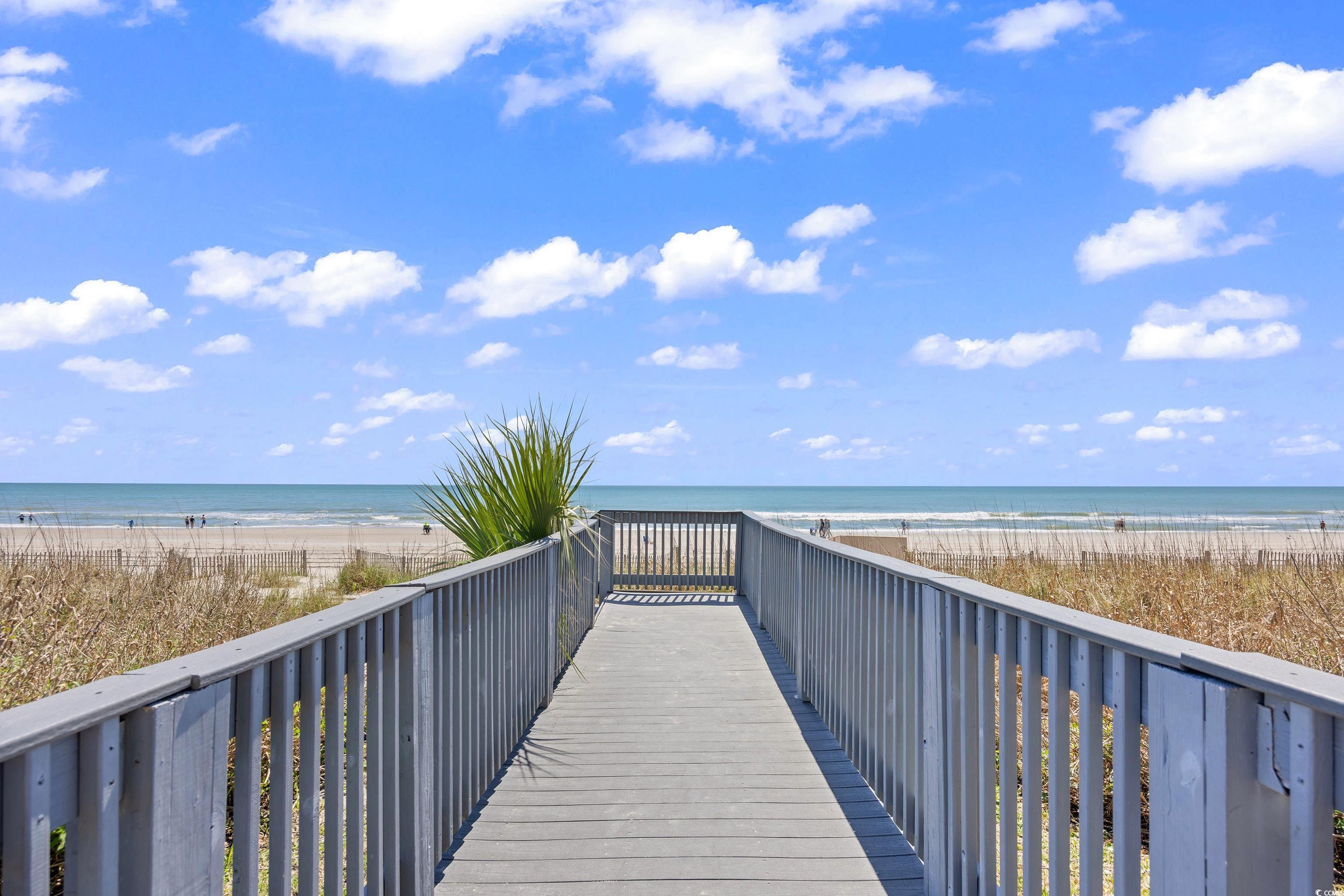 Photo #36