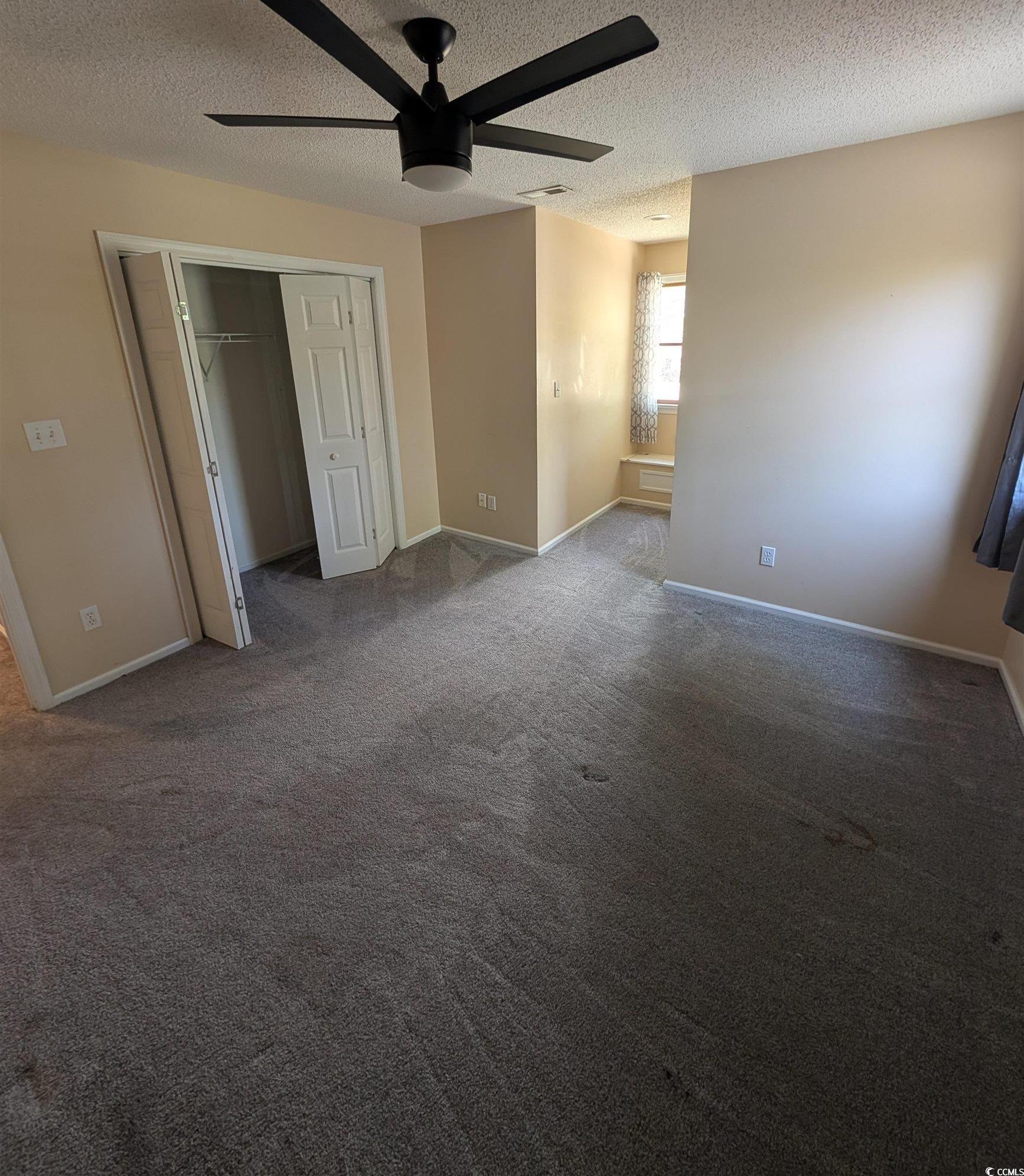 Photo #29