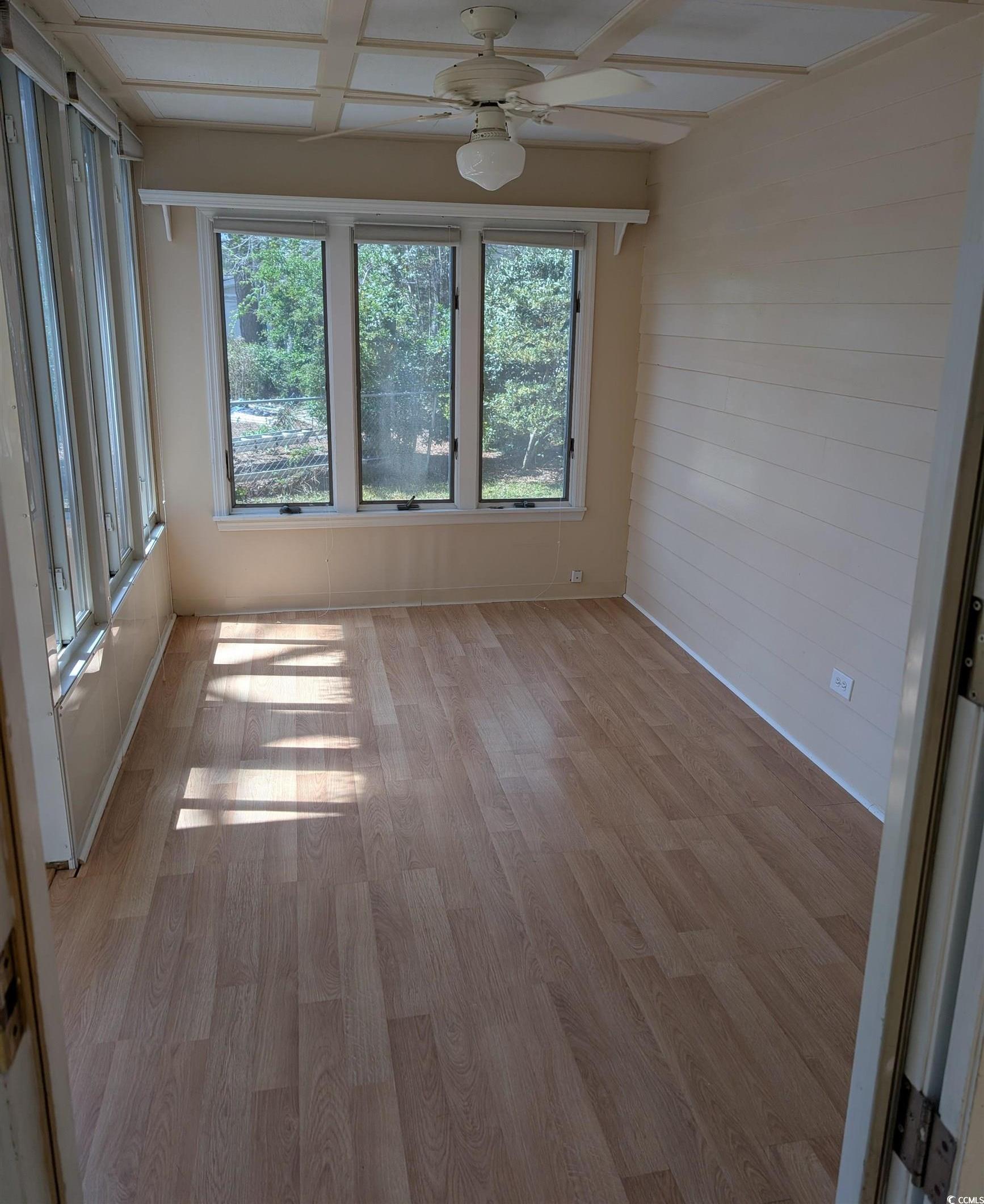Photo #12
