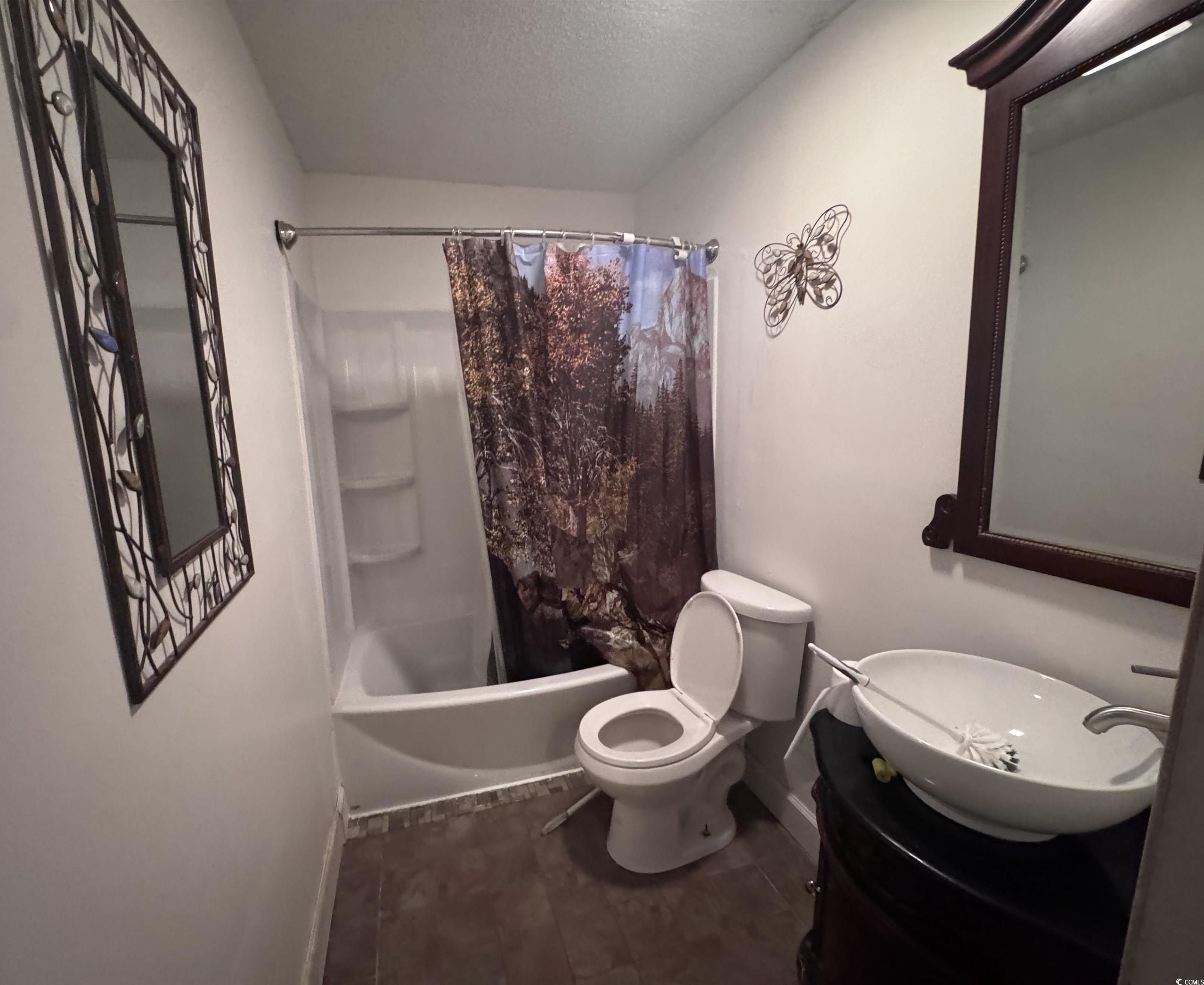 Photo #12