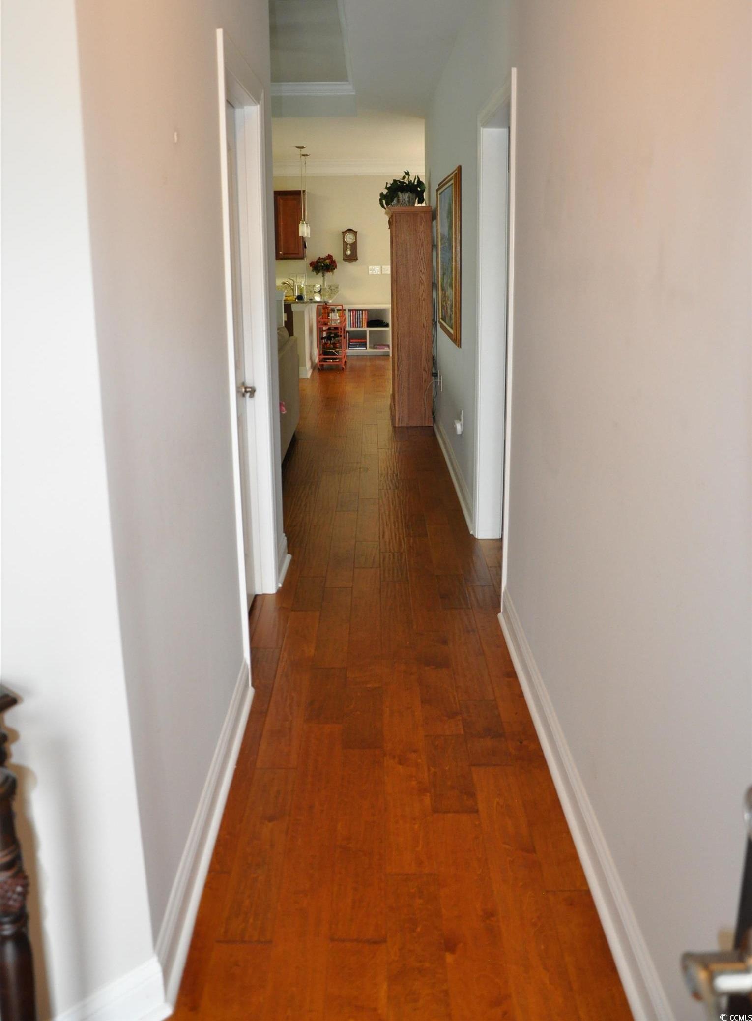 Photo #14