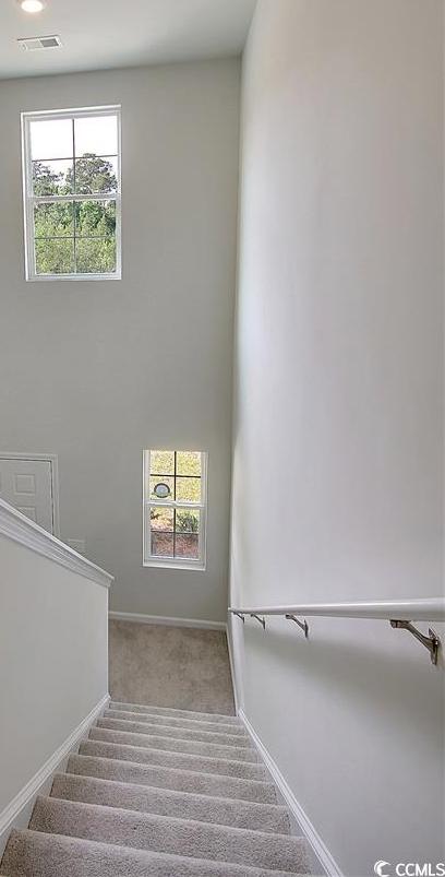 Photo #13