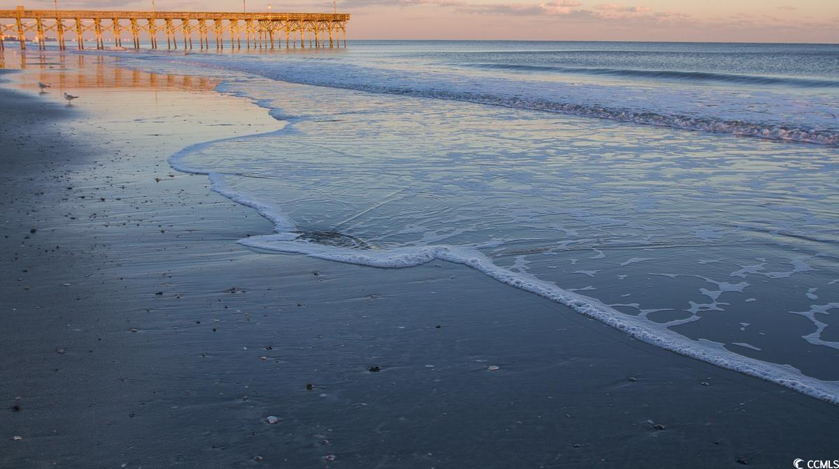 Photo #39