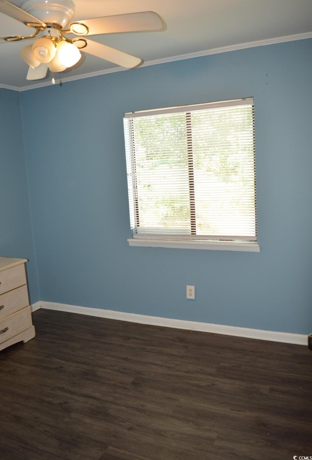 Photo #14