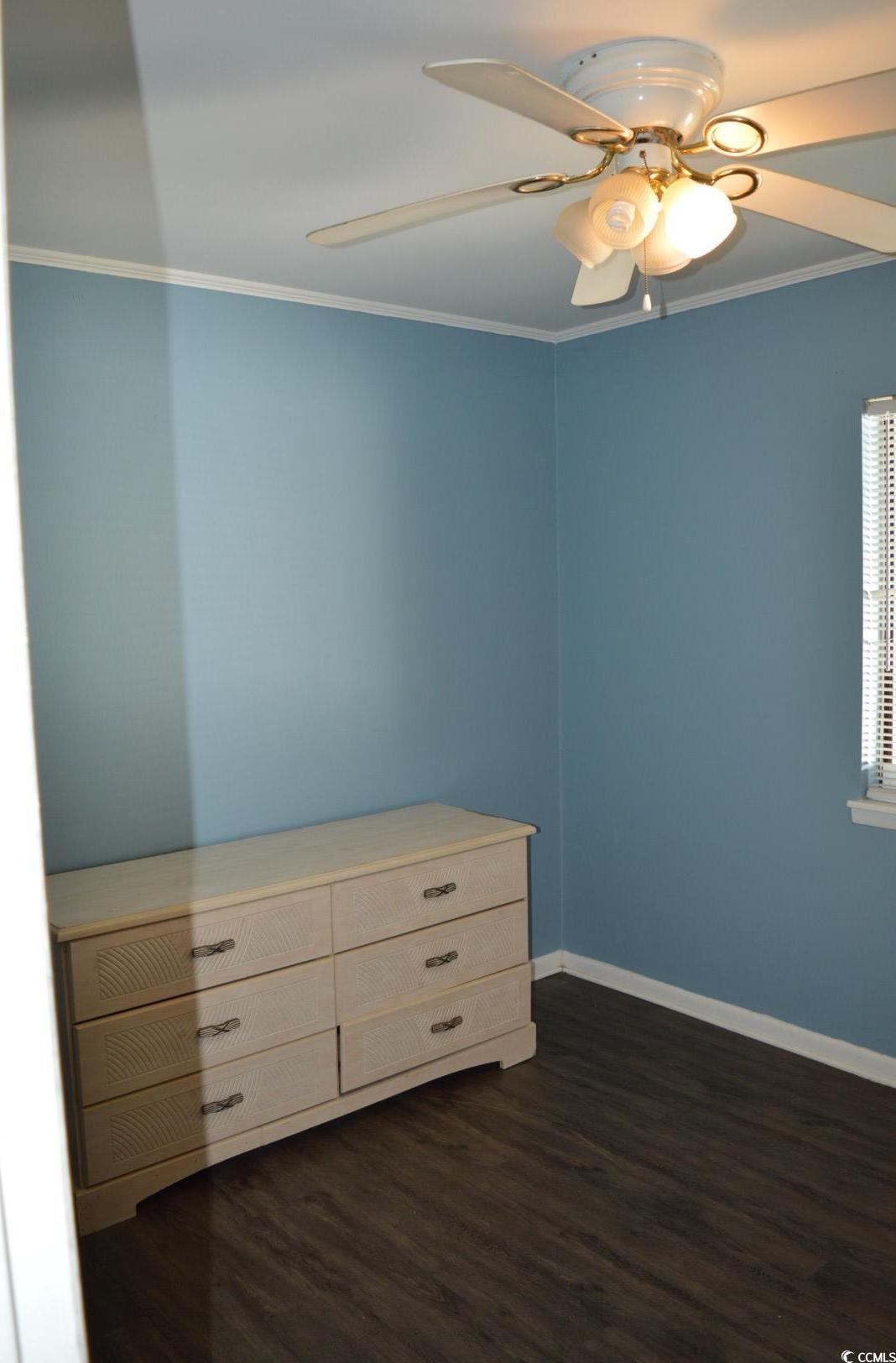Photo #16